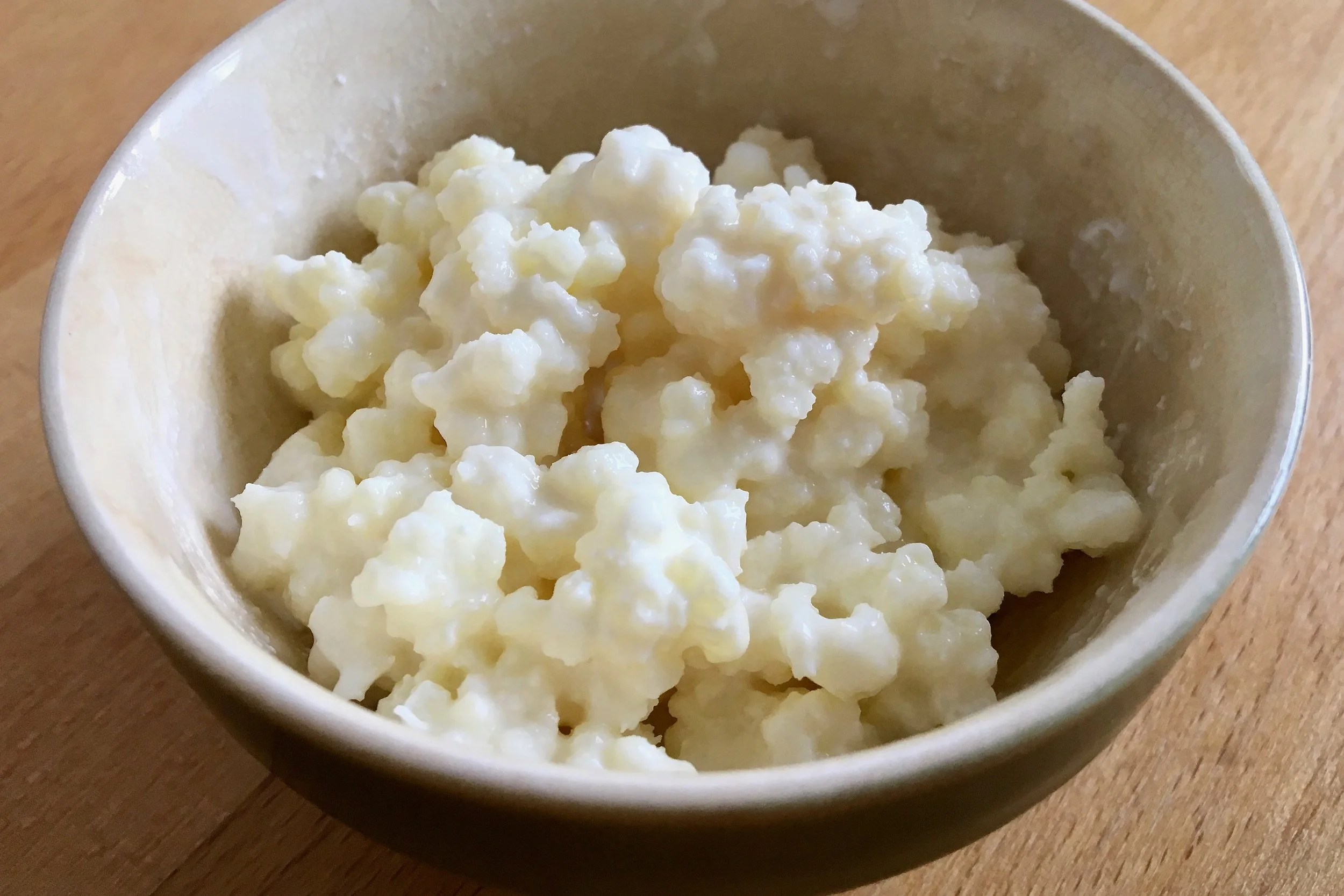 where to buy kefir culture