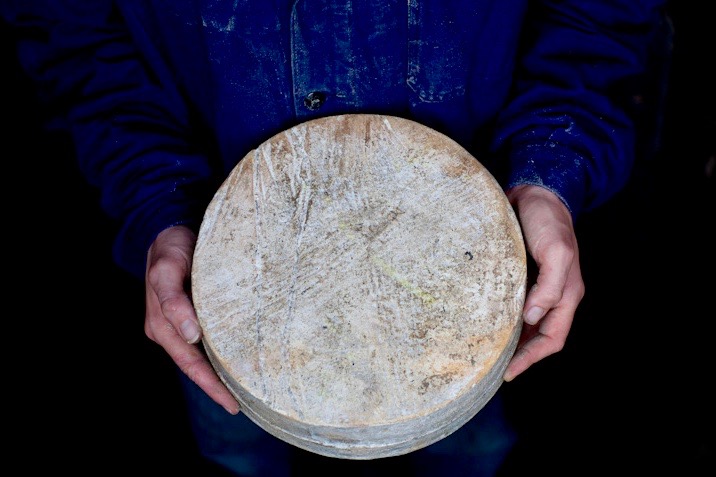 cheese copywriter.jpg