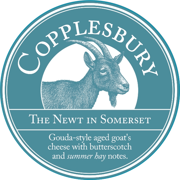 The Newt artisan cheese product copy