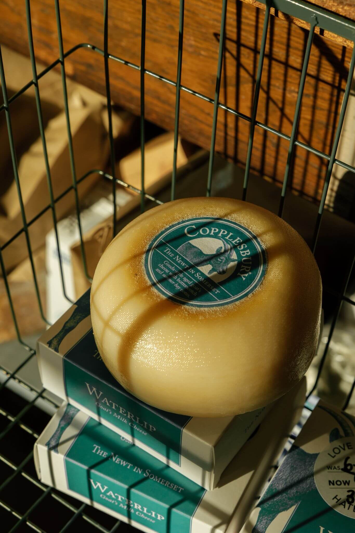 The Newt cheese product packaging copywriting