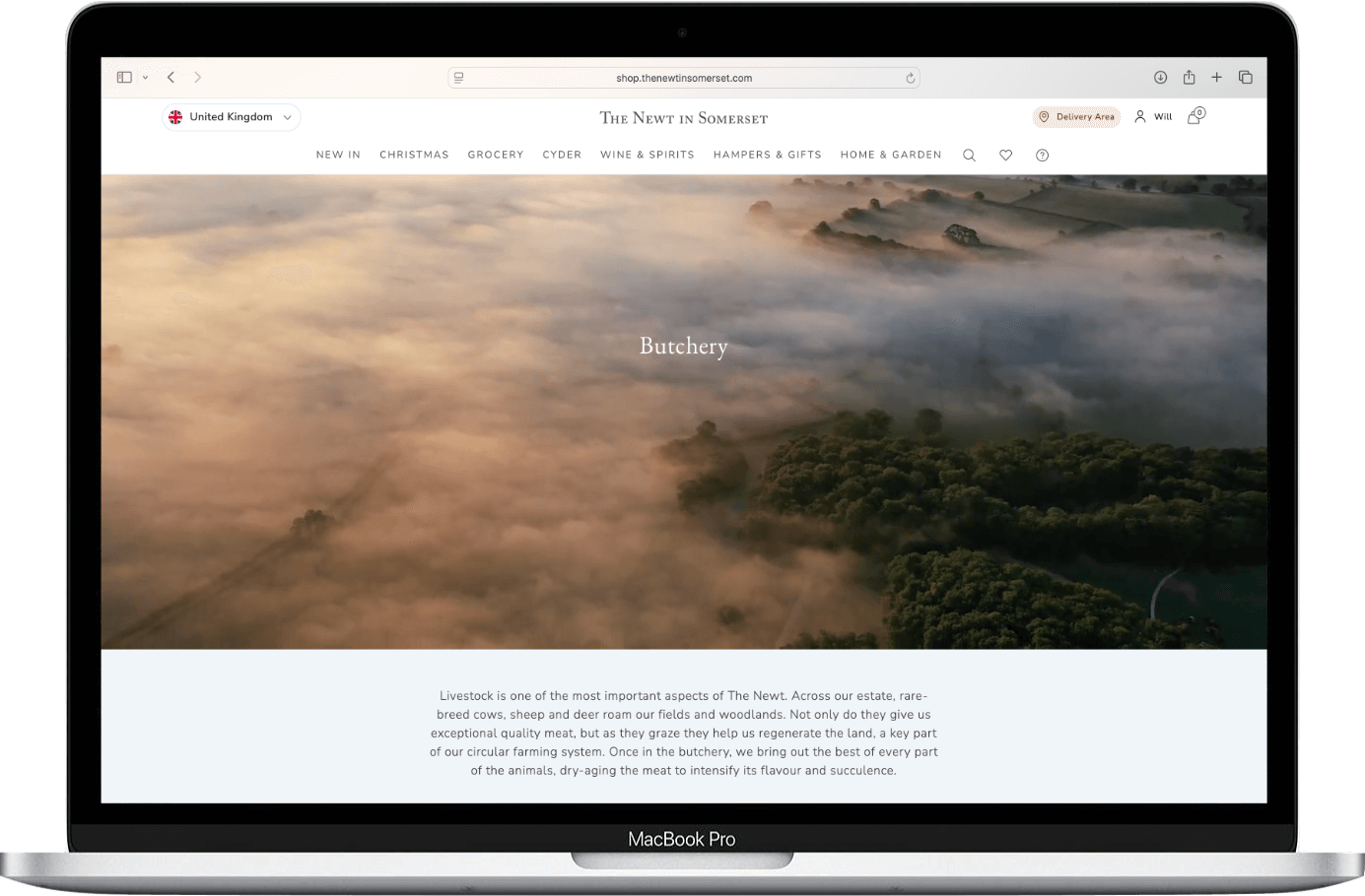 The Newt artisan butchery web copywriting