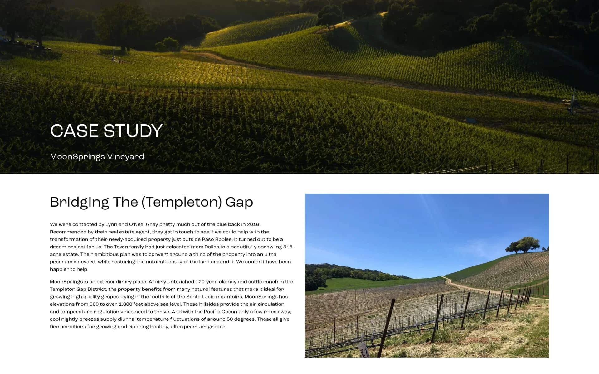 Moonspring Vineyard case study wine copywriting