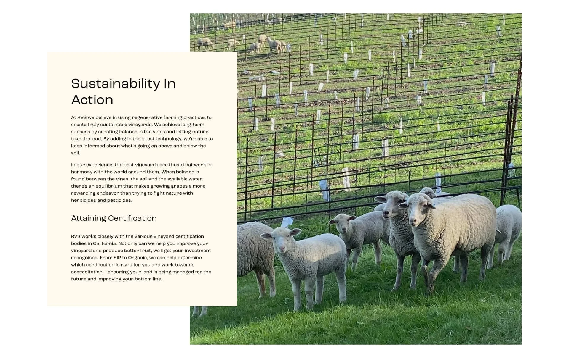 Roberts regenerative viticulture sustainability page copy