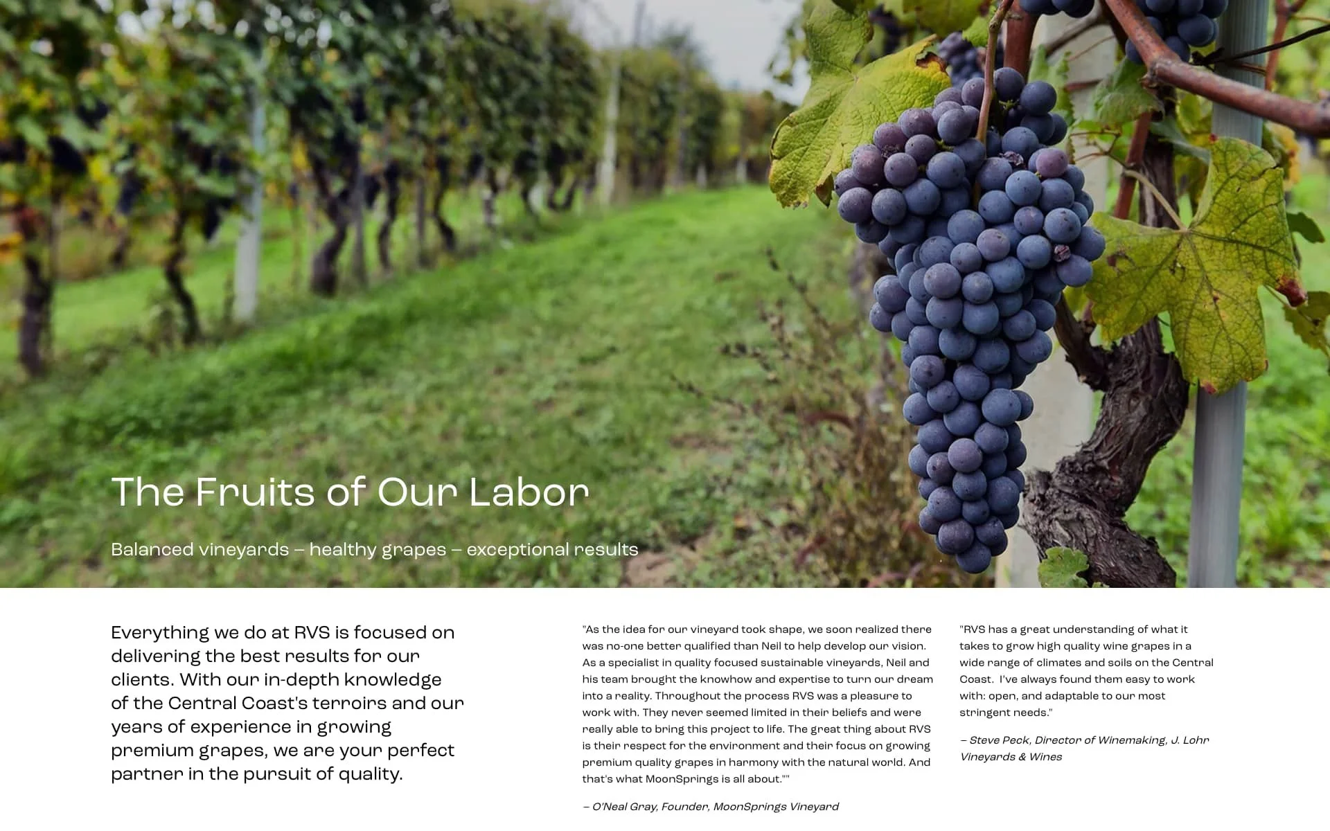 Healthy vineyard management web page by William Thomas