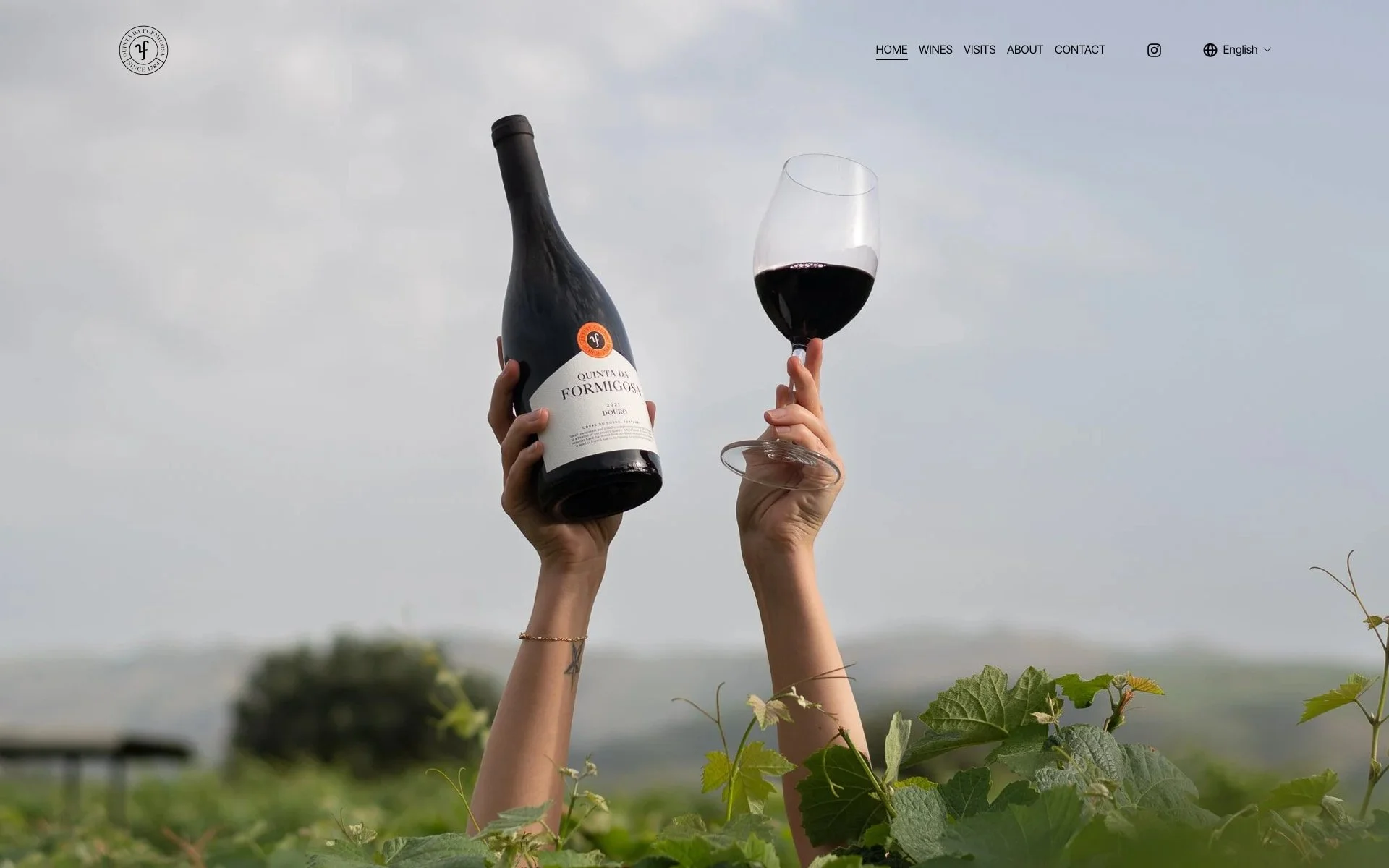 Quinta da Formigosa Douro Valley homepage by wine writer William Thomas