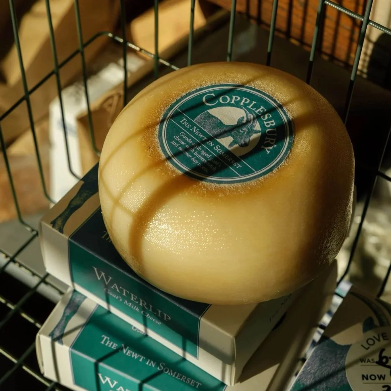 The Newt in Somerset Artisan Goat's Cheese label copy by William Thomas