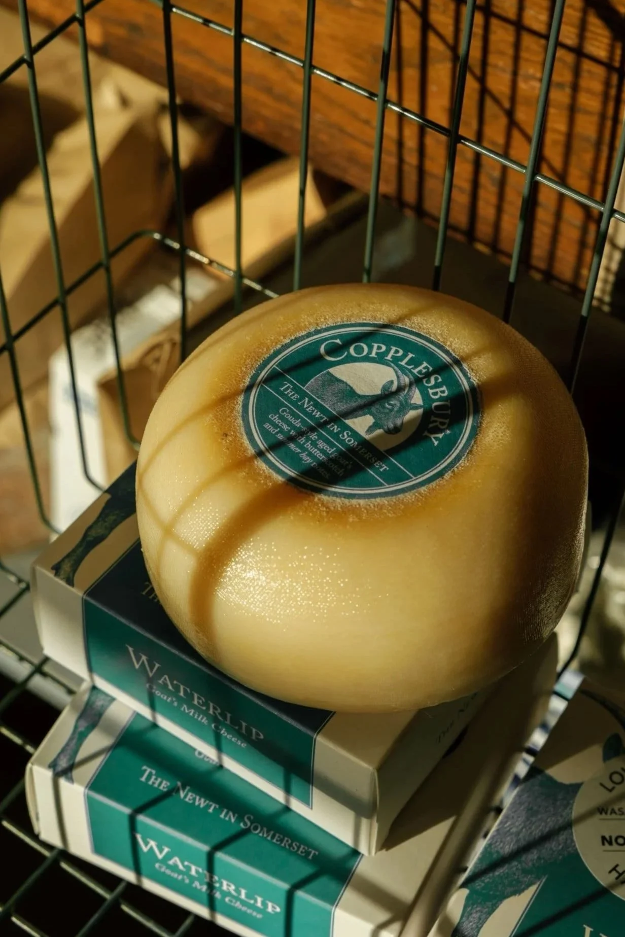 Copplesbury gouda cheese named by food copywriter William Thomas for The Newt in Somerset