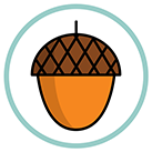 acorn icon blue.png