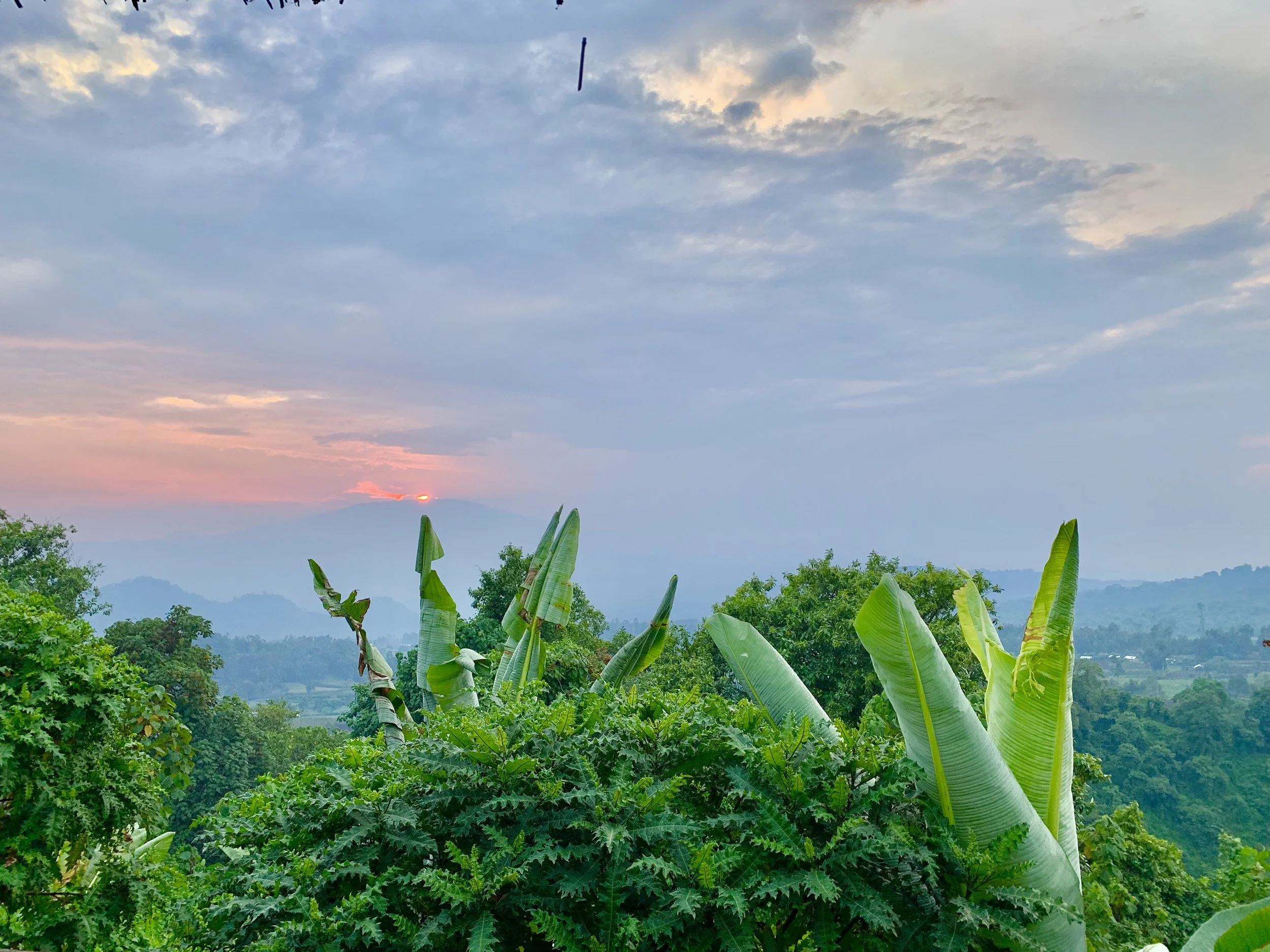 Views from Kibumba Tent Camp