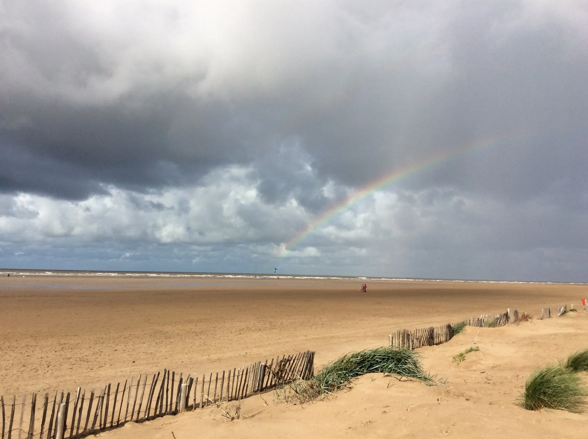 Eco- Council Sand Dune, Grass Planting Trip