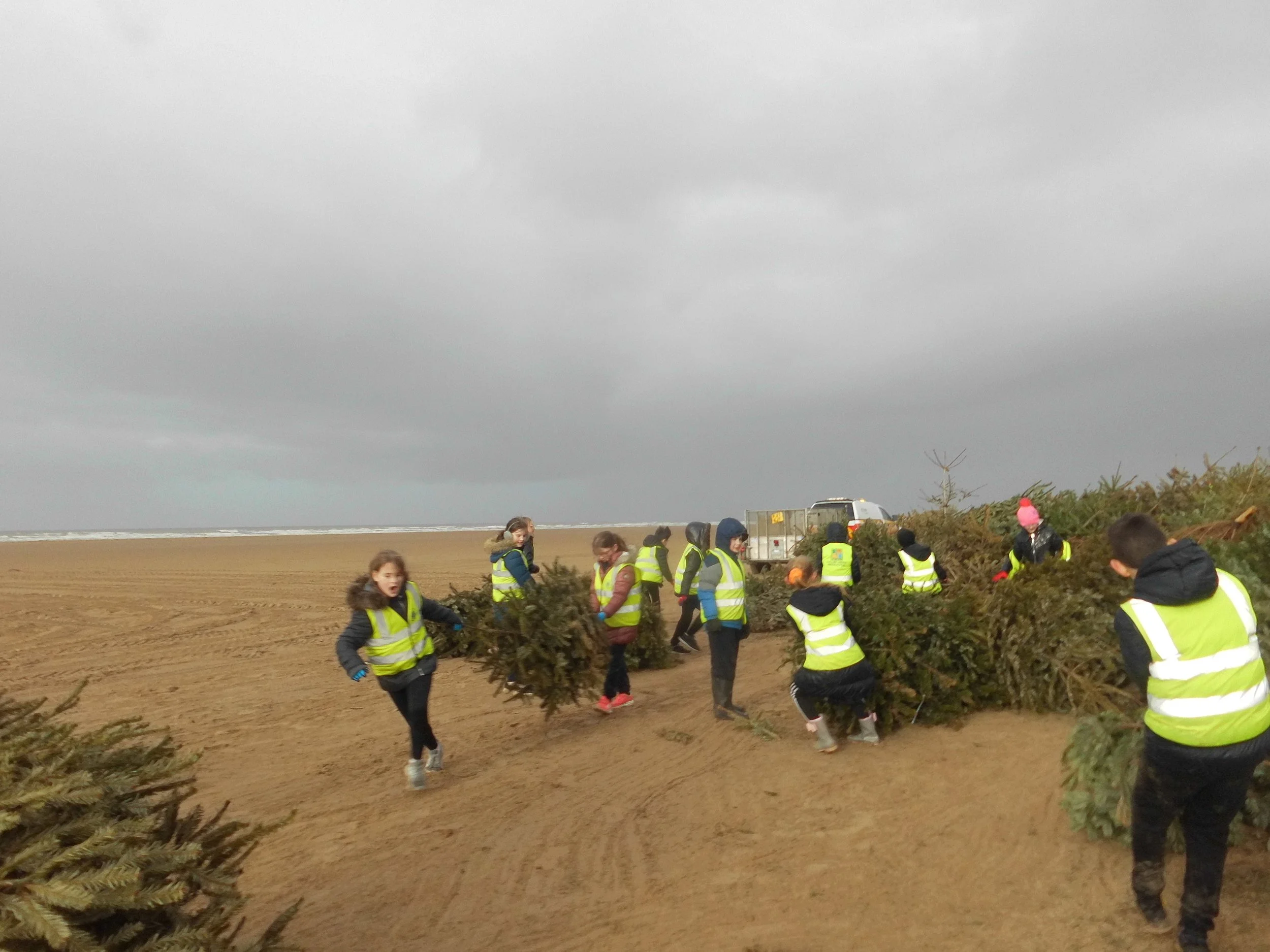 Christmas Tree Planting, Tuesday 31st January 