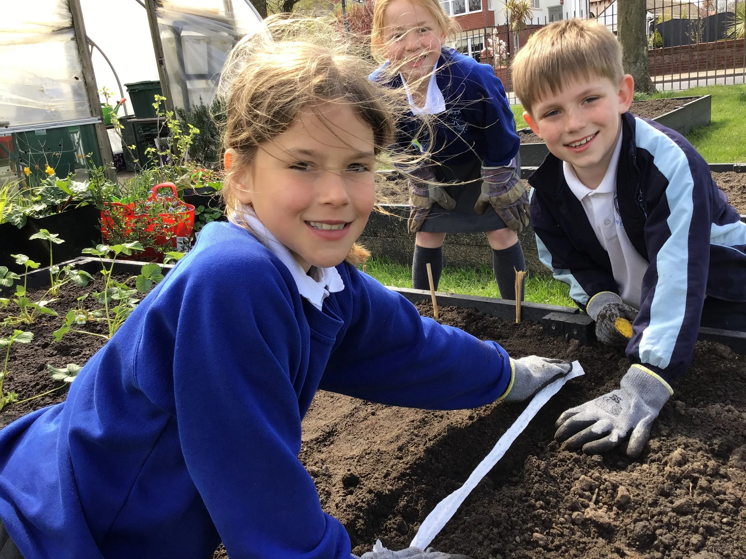 Spring has sprung!!! Our new allotment is up and running!