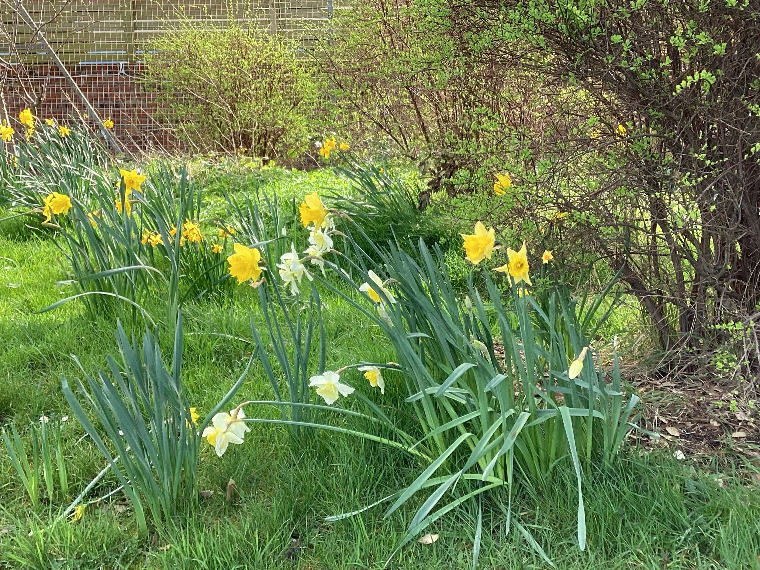 Trying to define play is like trying to define love. You can’t do it. It’s far too big for that. Gordon Sturrock