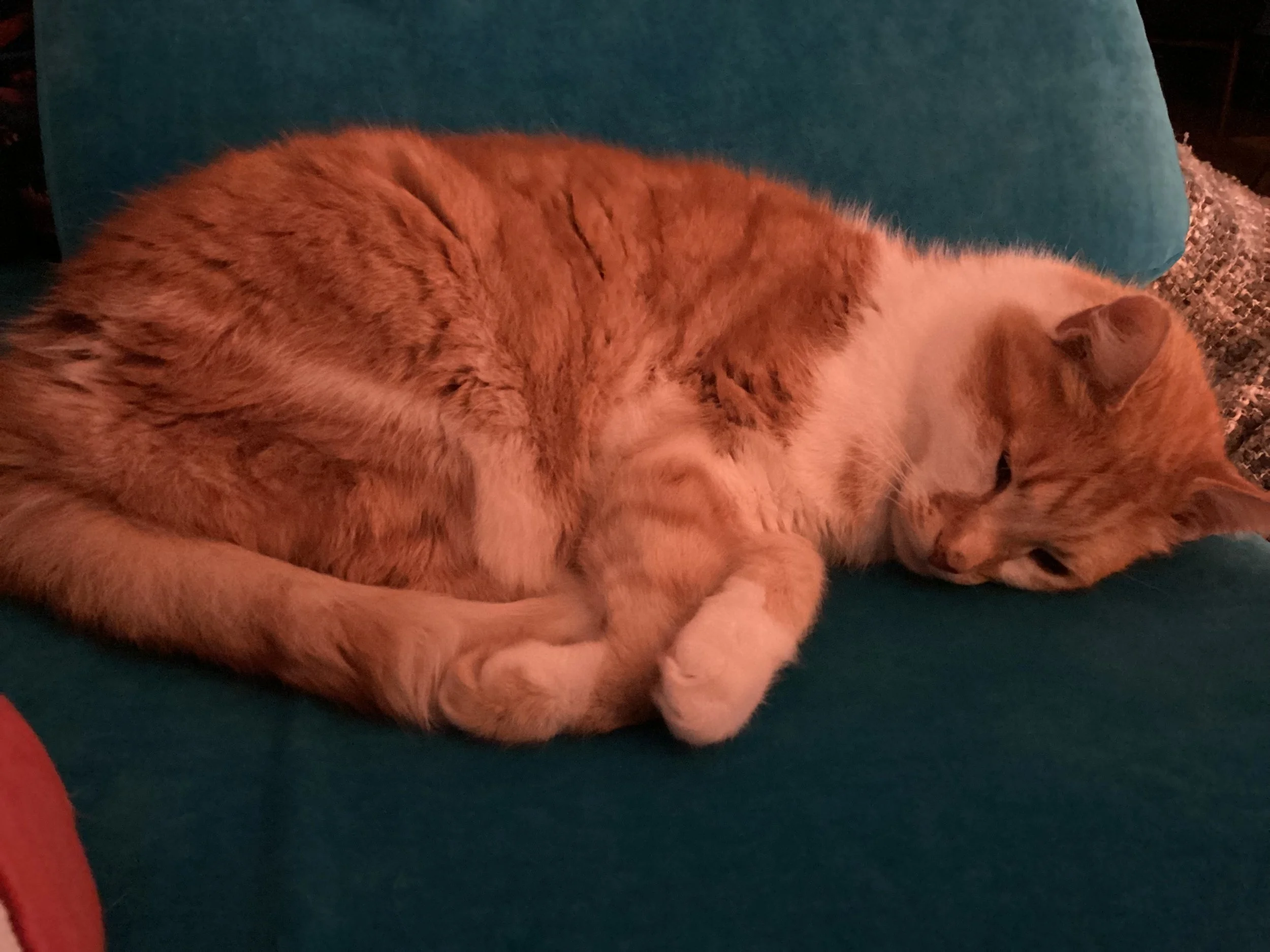 Year 2 Home Learning for the Half Term Holiday