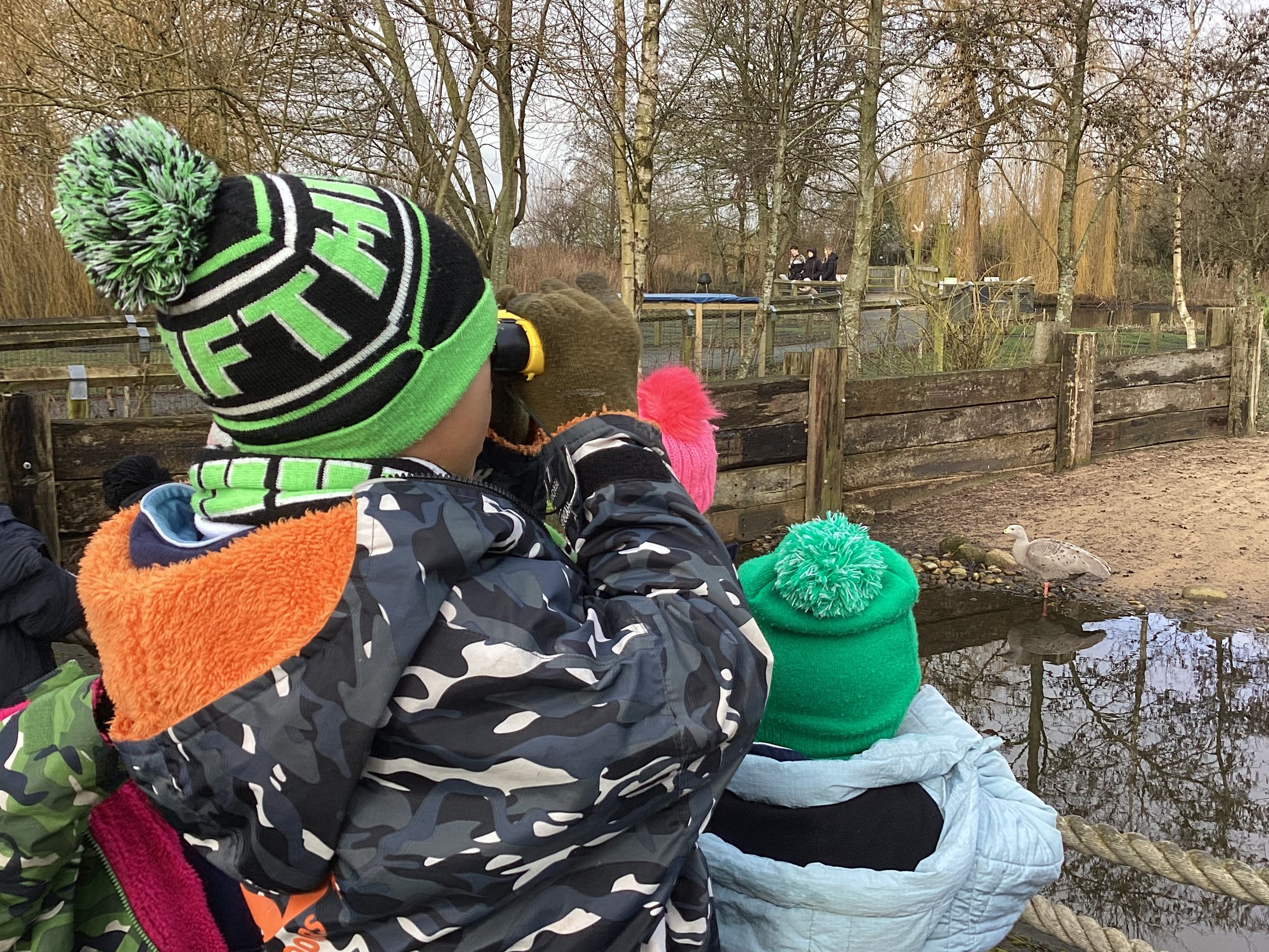 Year 2 Final Blog of the half term Friday 13th February - Thank You !