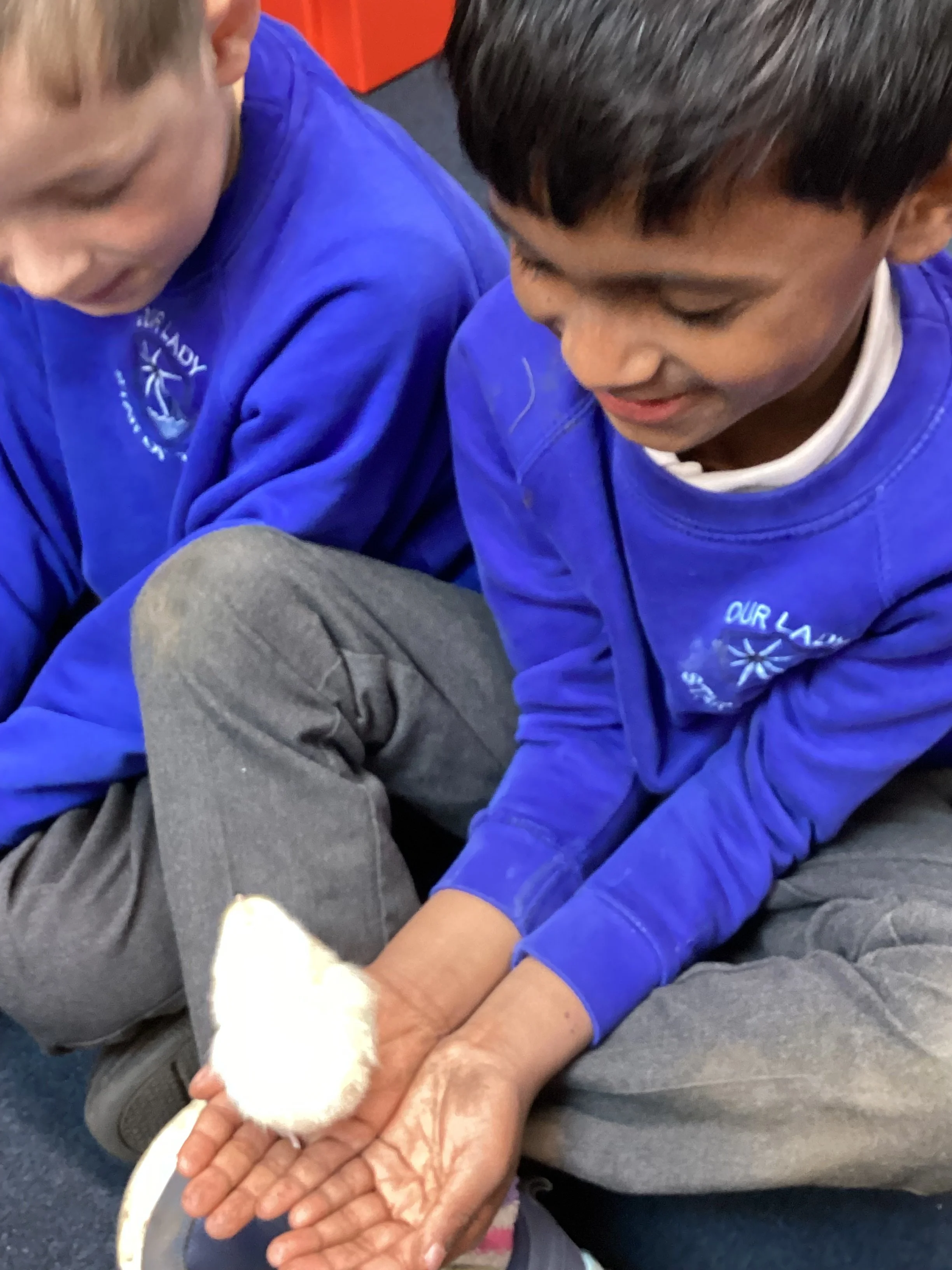 Year 2 Weekly Blog Friday 27th March "Trust the Magic of New Beginnings"