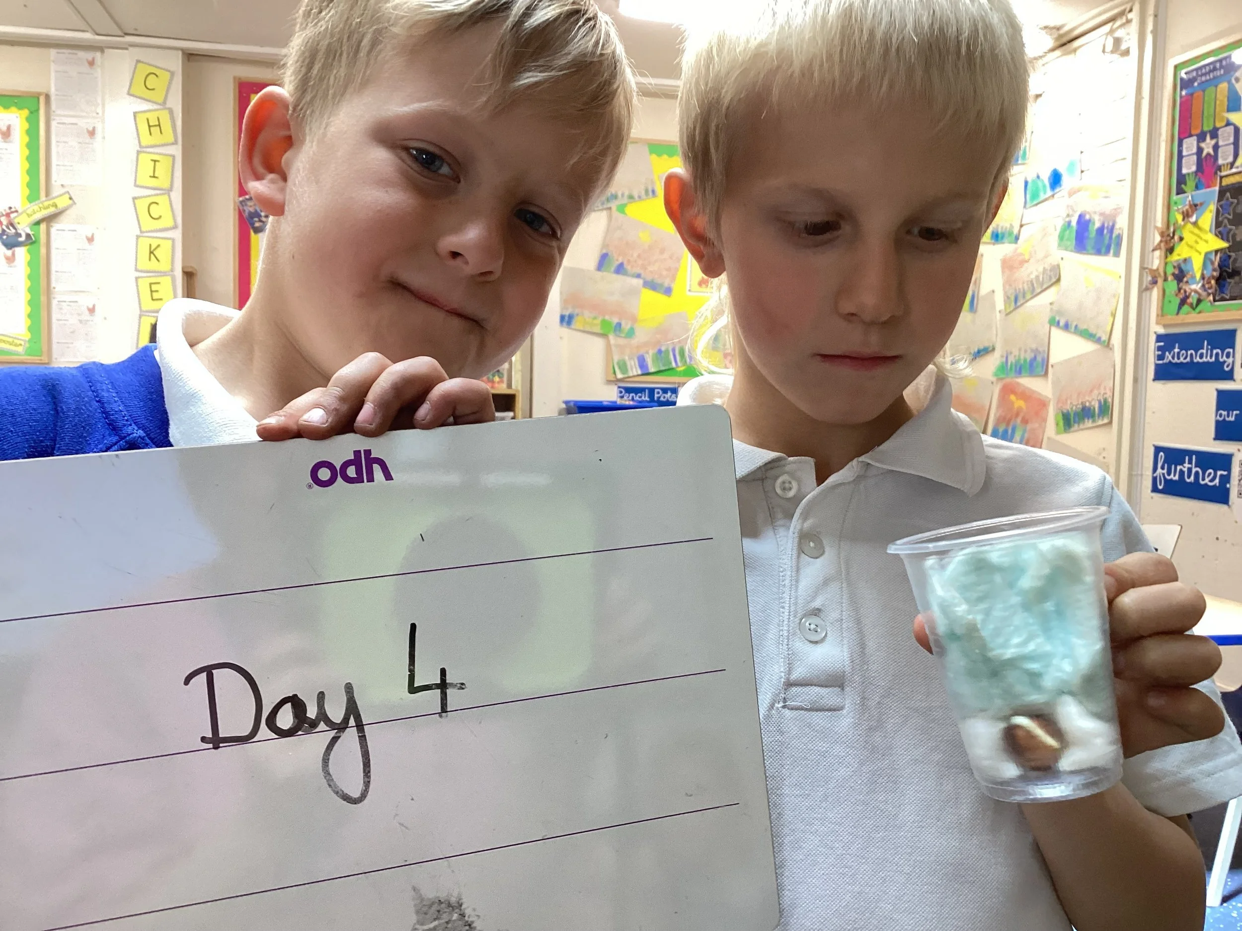 Year 2 Weekly Blog Friday 1st May "Go to Mary and sing her praises and you will be enlightened"