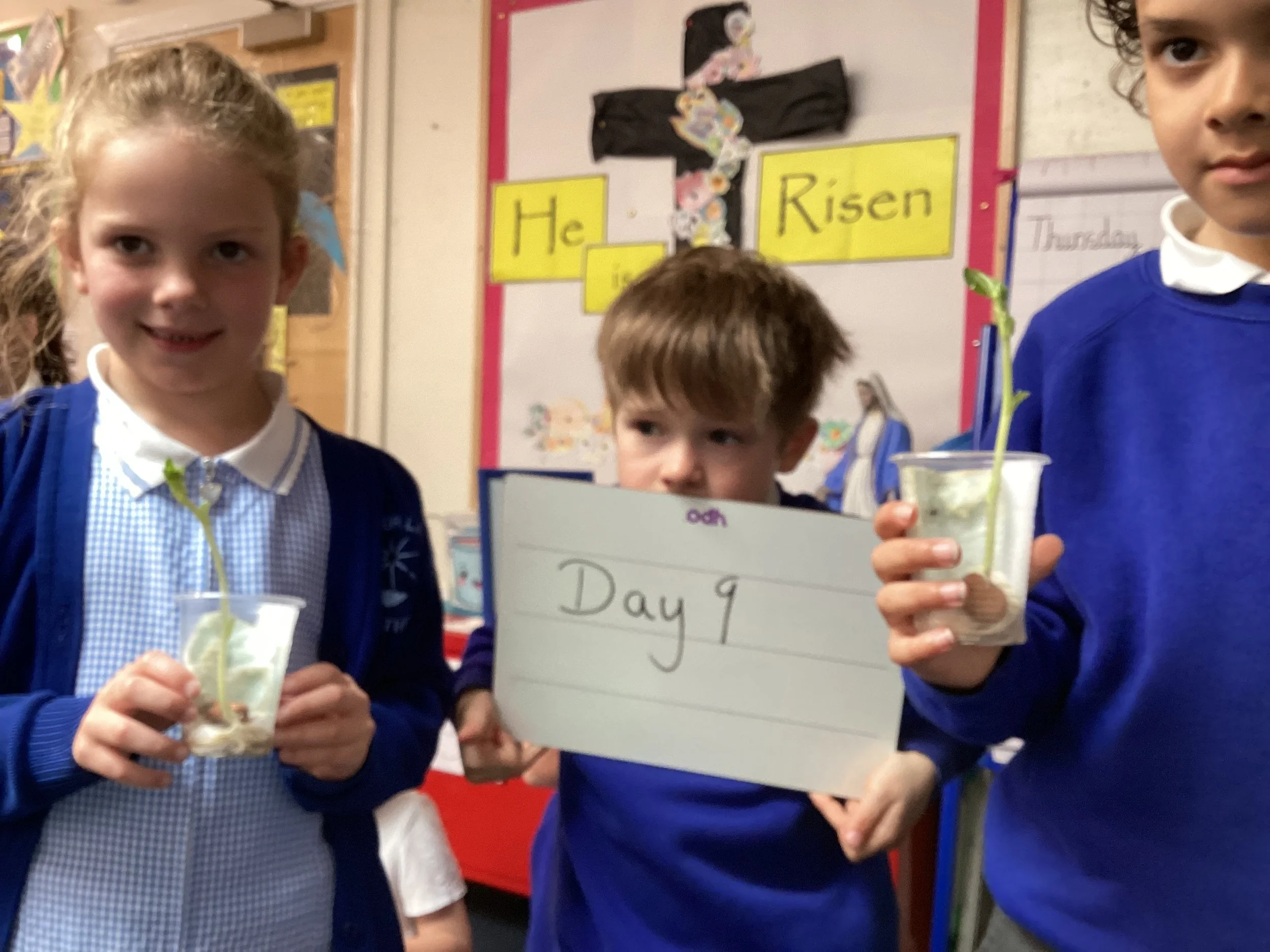 Year 2 Weekly Blog Friday 15th May 