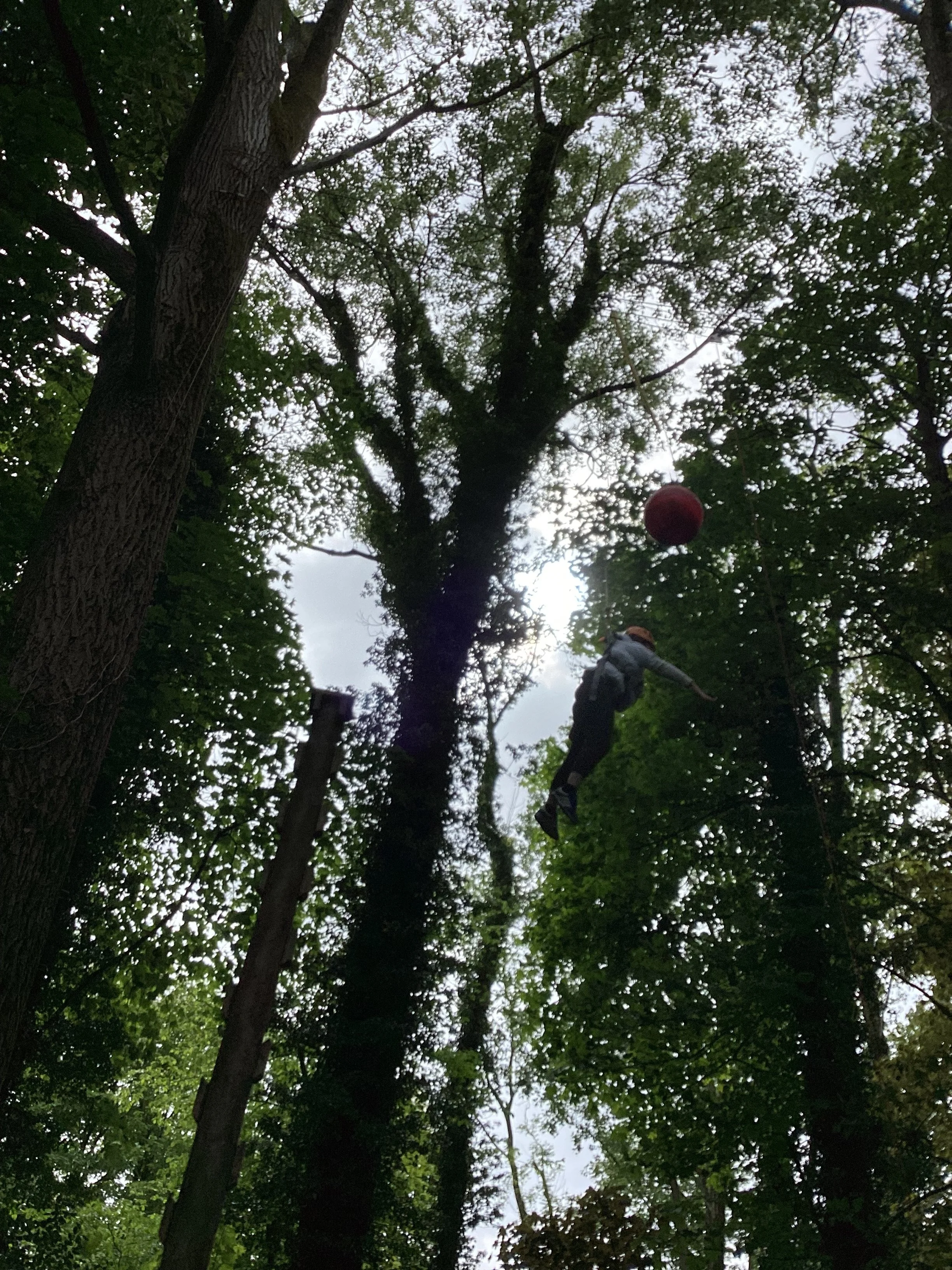 IMG_0679.jpeg