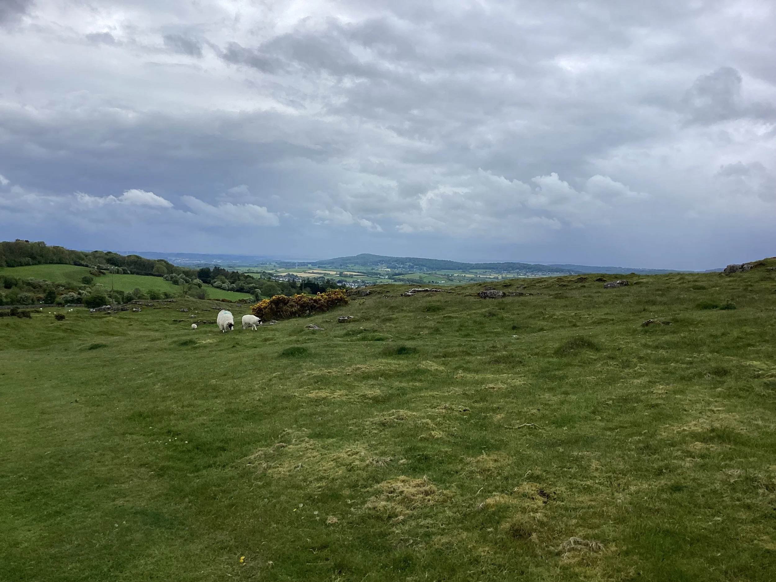IMG_0620.jpeg