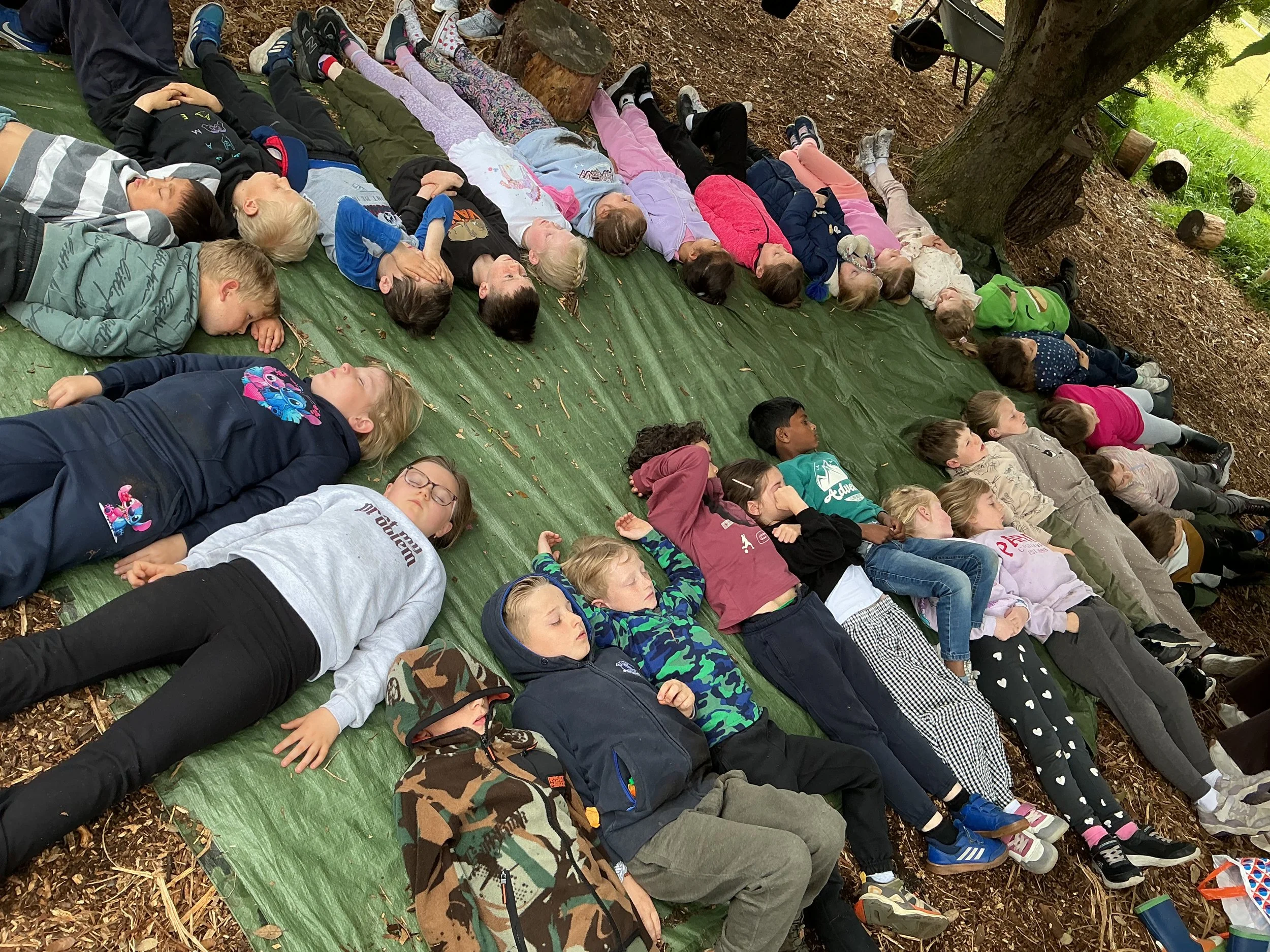 Year 2 end of Half Term Blog Friday 22nd May "Almost everything will work again if you unplug it for a few minutes—including you."— Anne Lamott