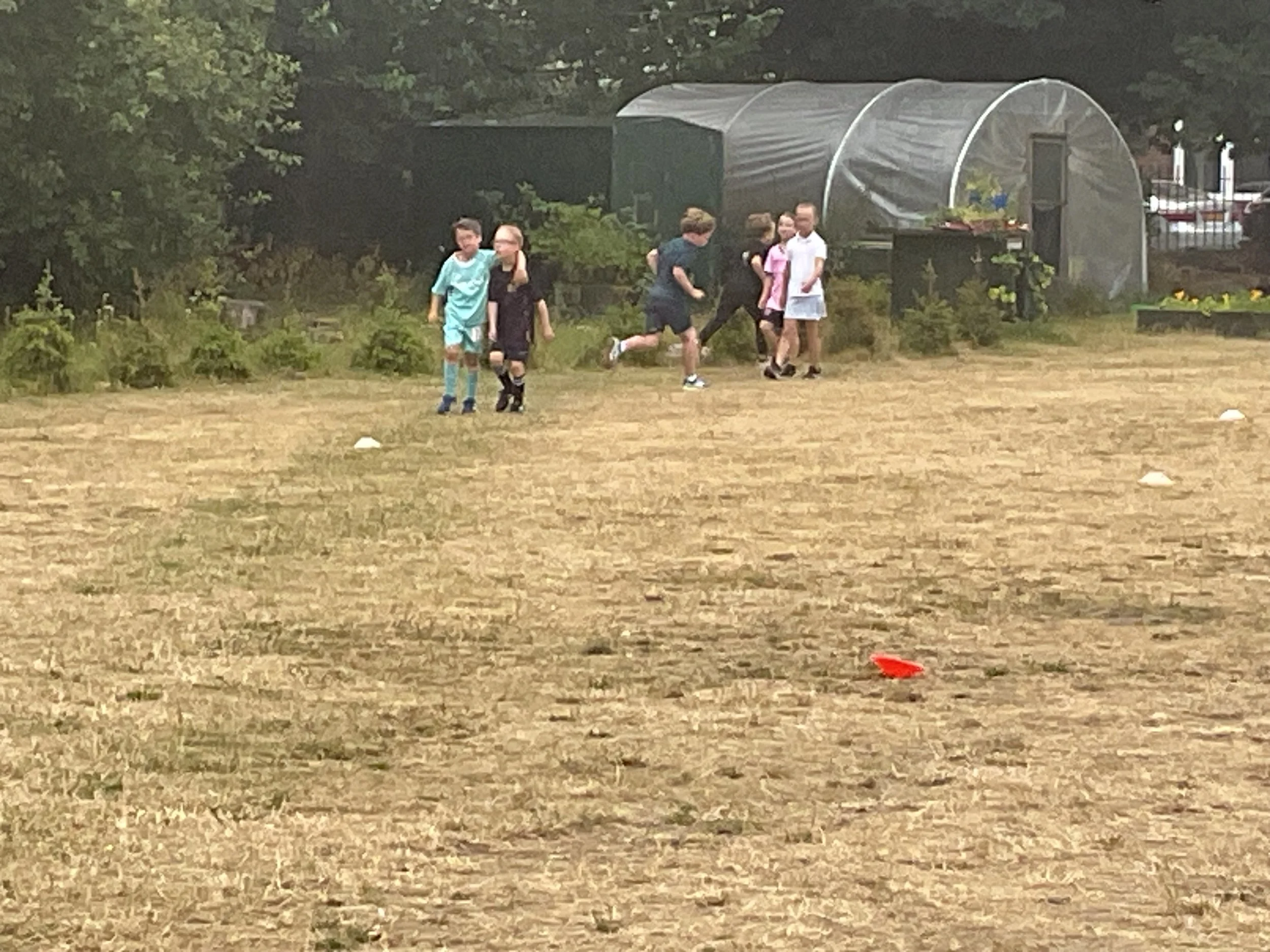 IMG_3637.jpeg
