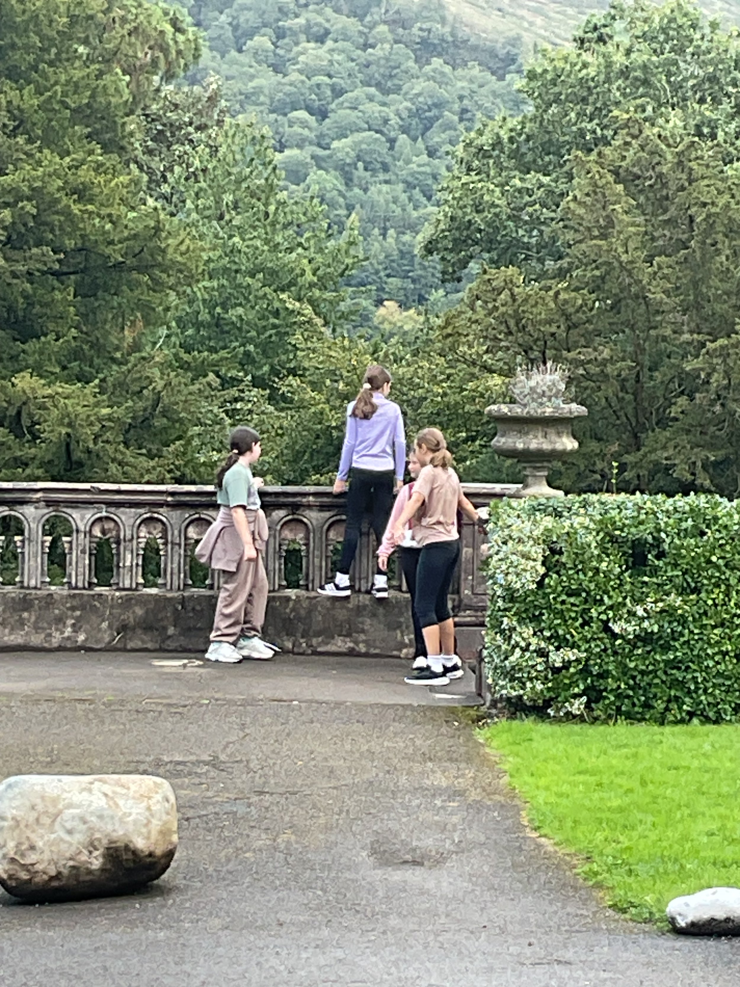 IMG_3737.jpeg
