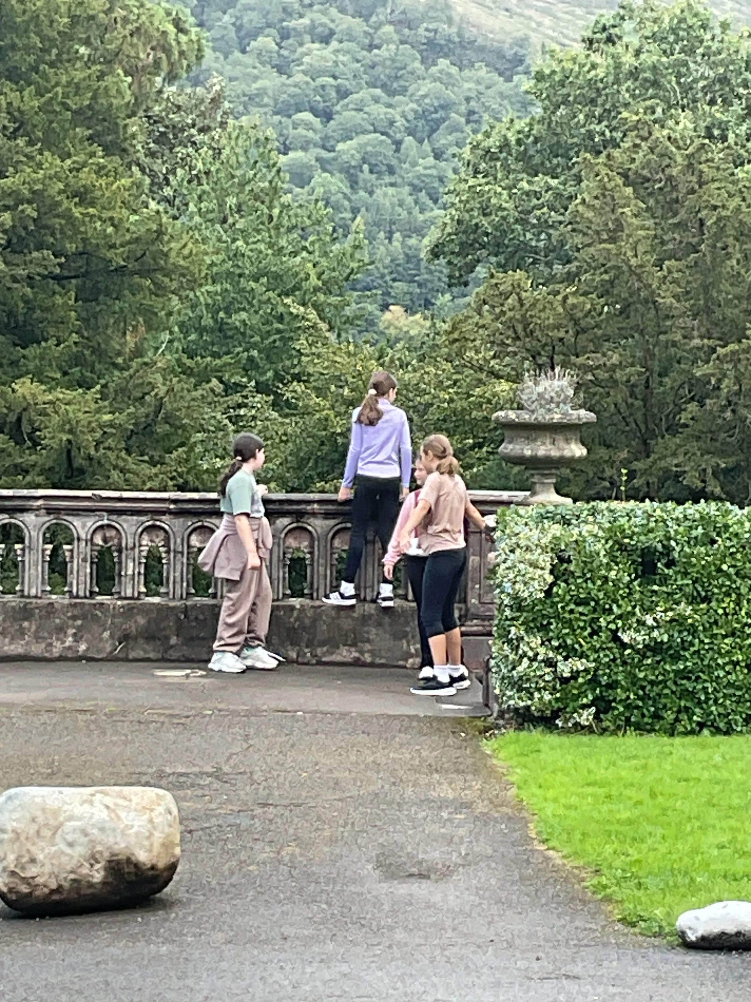 IMG_3737.jpeg