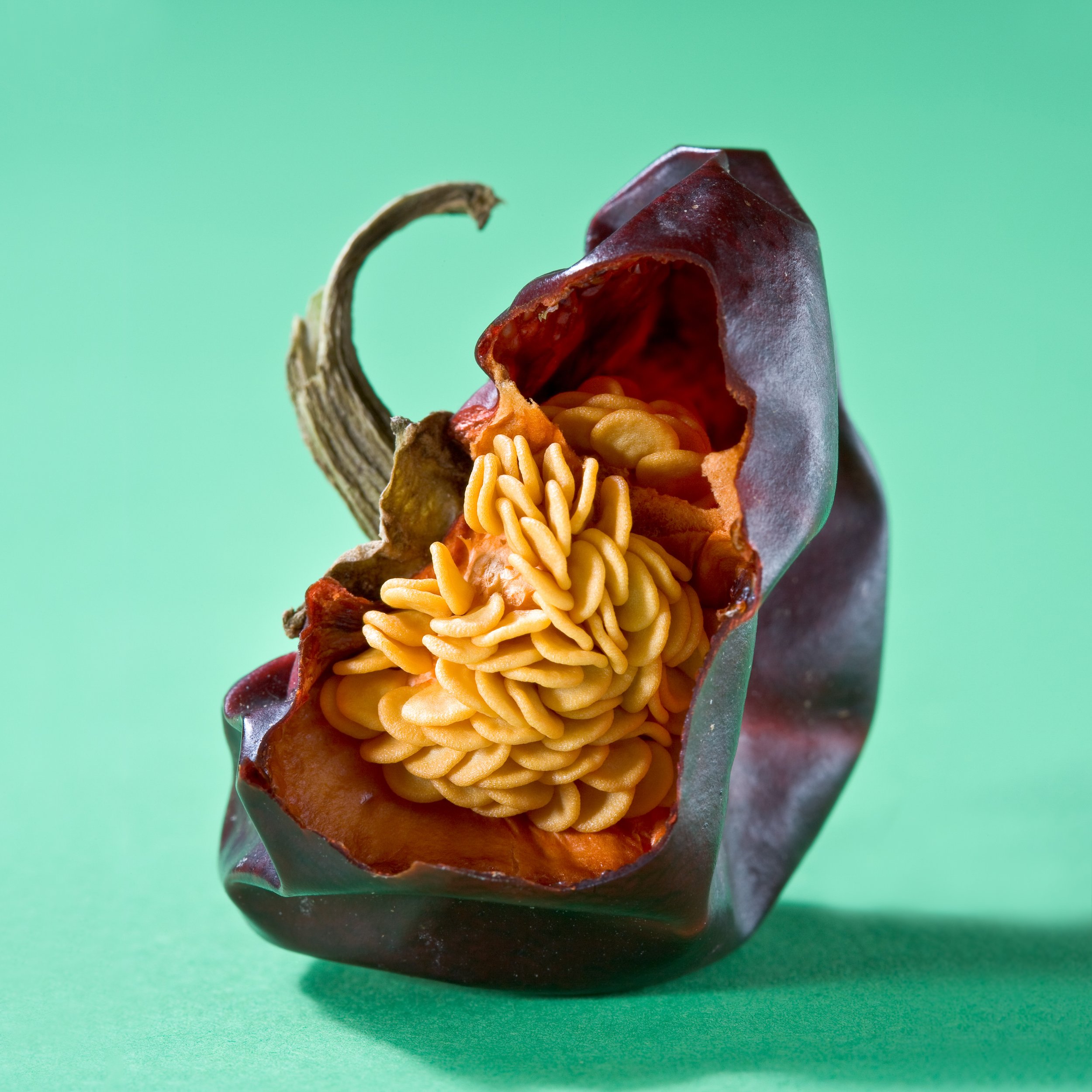 dried pepper showing its insides