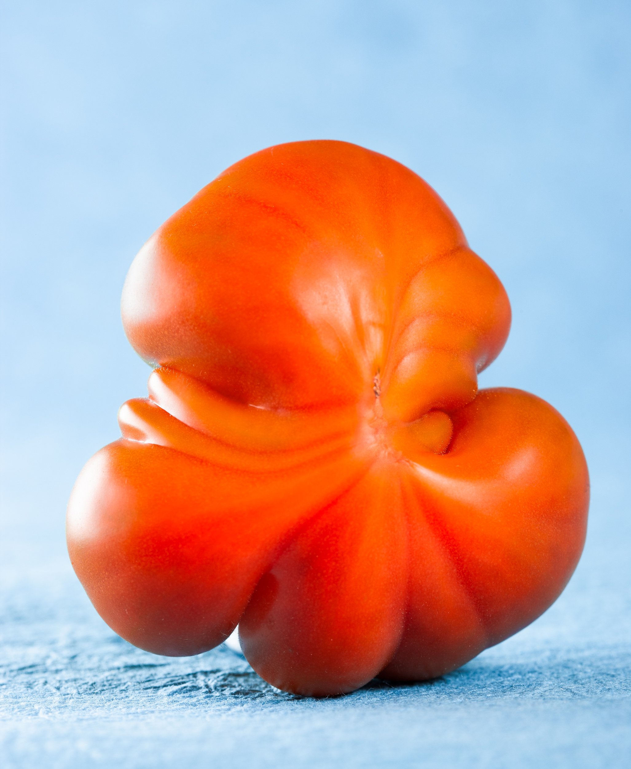 flamenco tomato