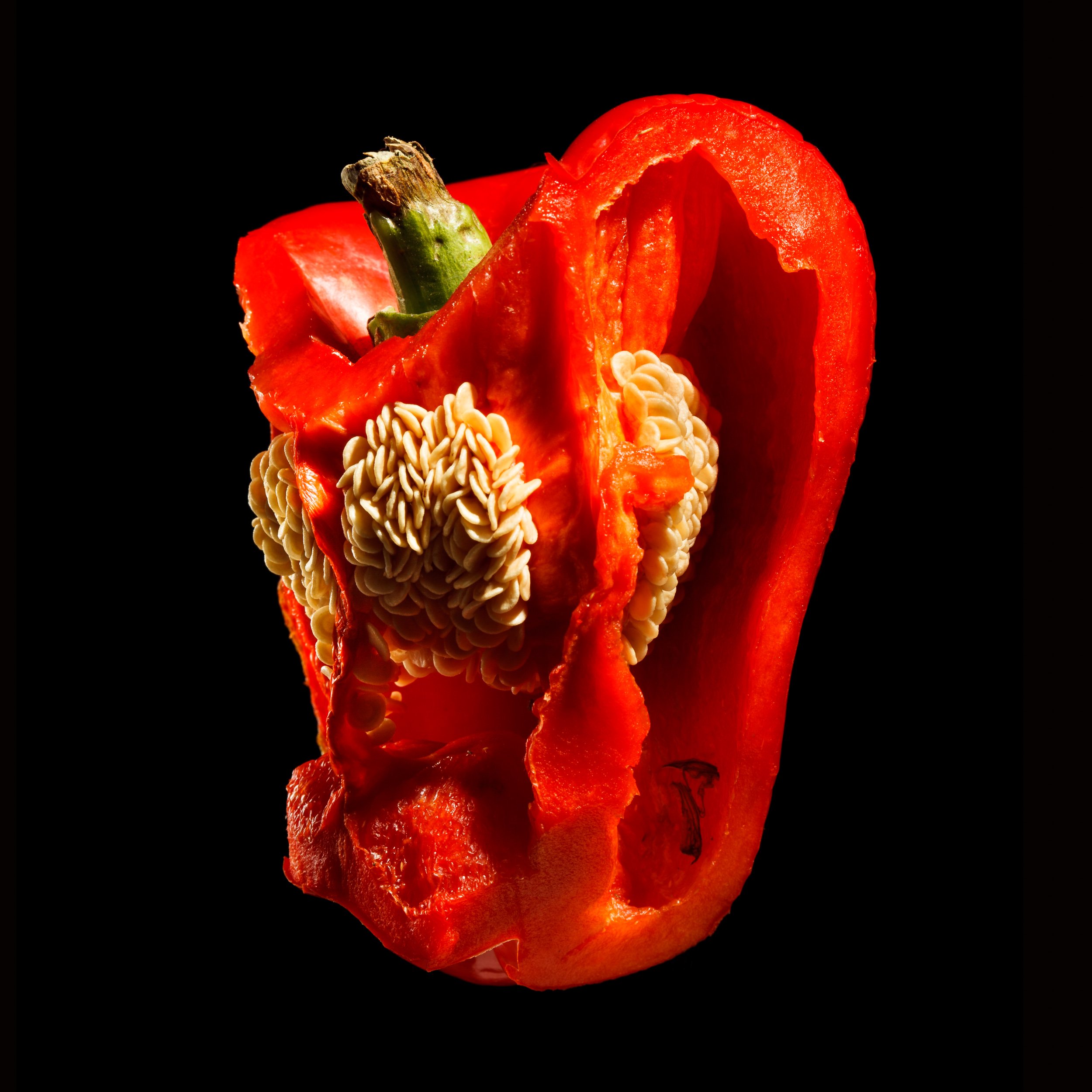 open pepper