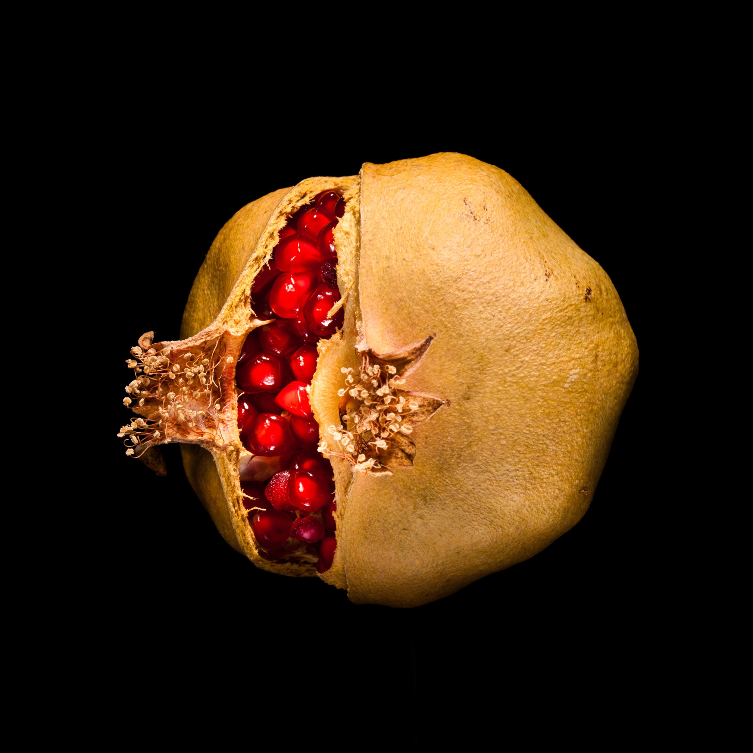 hidden pomegranate treasure