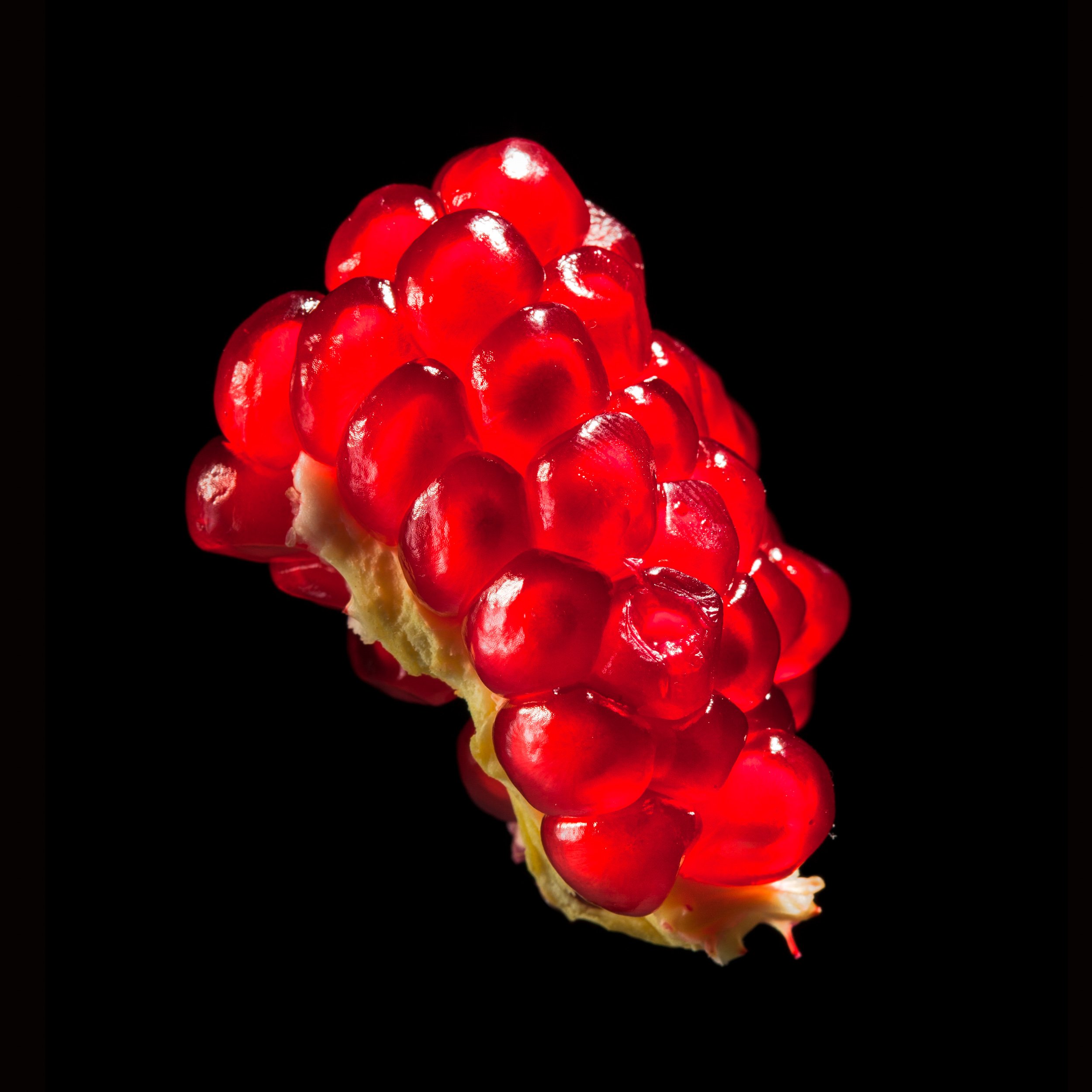 pomegranate