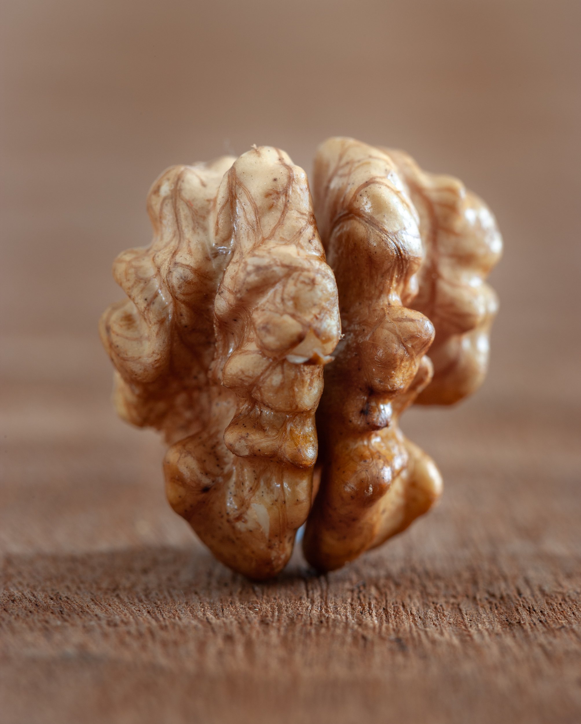 the fruit of the walnut without shell