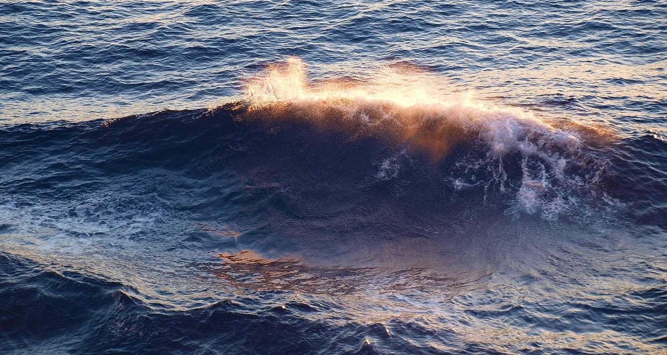 SEA JOURNEY 12 JANUARY 2019
