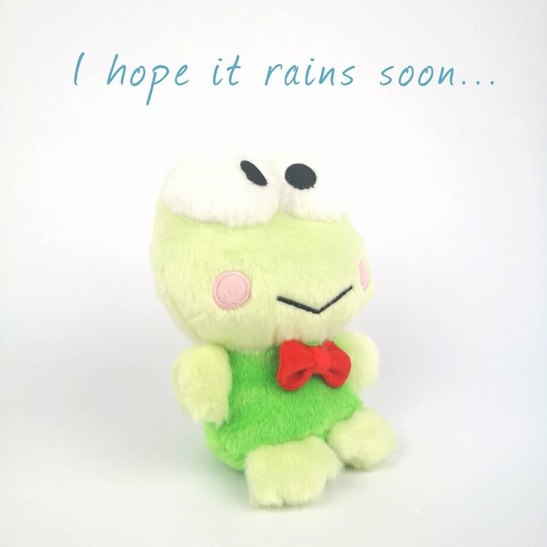 Poor Keroppi hoping for some rain! ☔🌧️💧

#kawaiishop #kawaiistuff #keroppi #sanriocharacters #sanrio #plushies #frogs #imoutouk