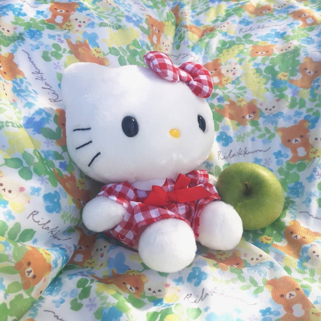 Such a beautiful day to relax~ ☀️💕

#kawaiishop #kawaiistuff #supportsmallbusiness #sanrio #hellokittylover #hellokitty #imoutouk