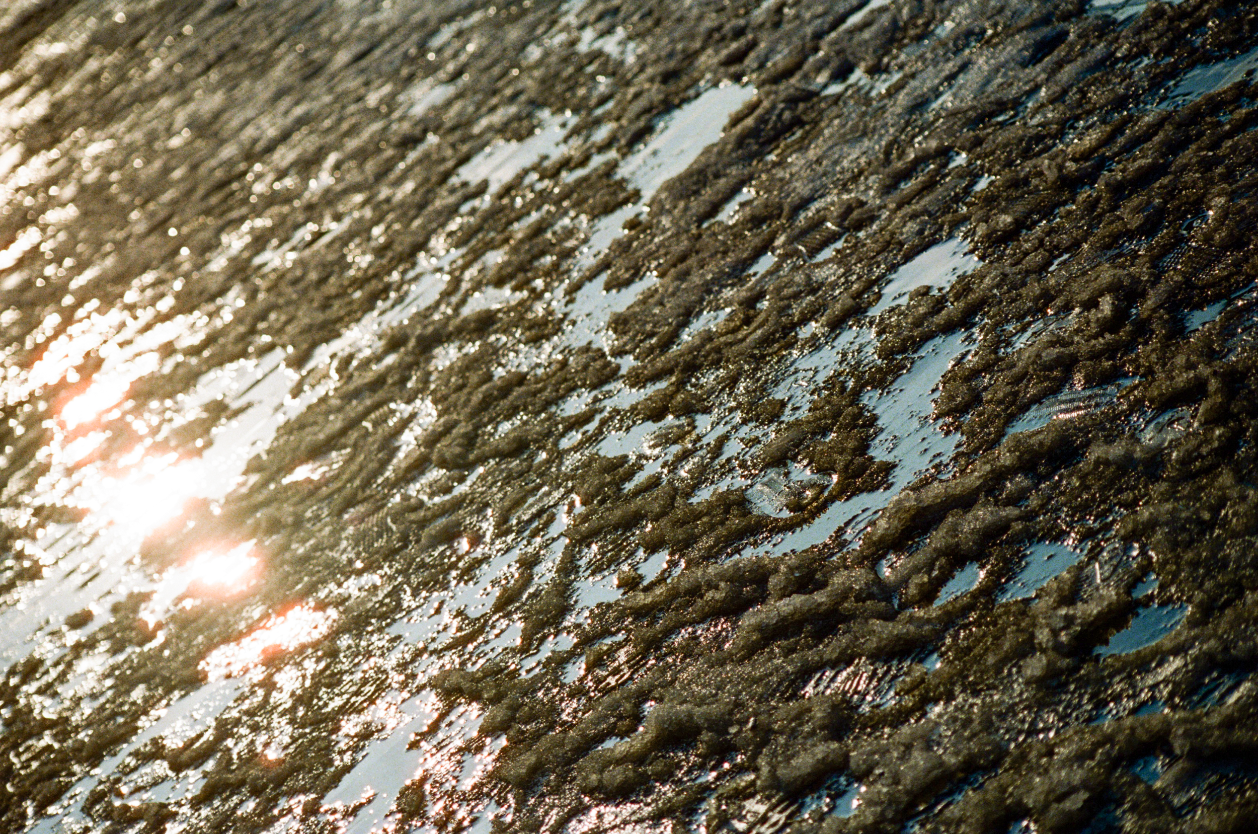 0014_14 - Copie.png