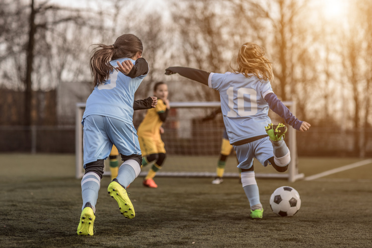 sports physical form kansas
Sports Physicals — Panda Pediatrics sports physical form kansas
Sports Physicals — Panda Pediatrics