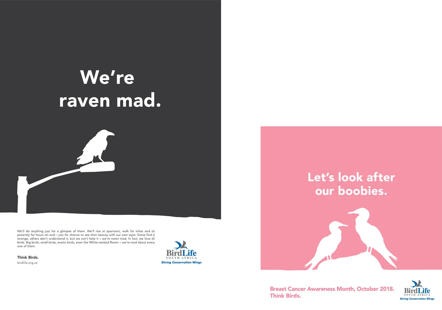 20200117_birdlife_adverts_V004-01.jpg