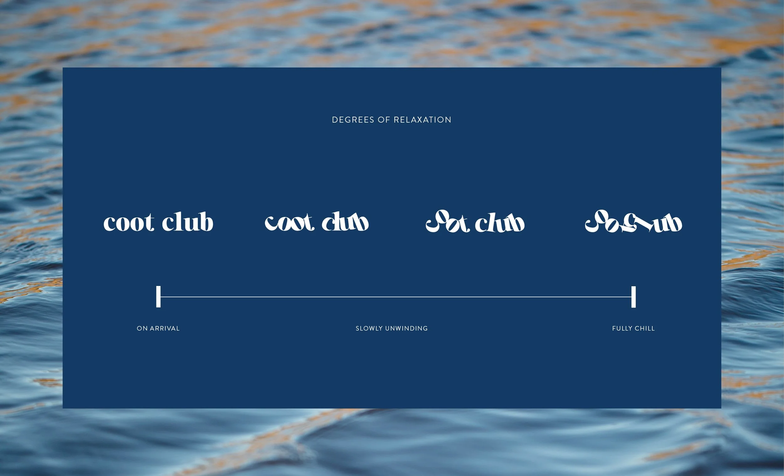 CootClub_Behance_v23.jpg