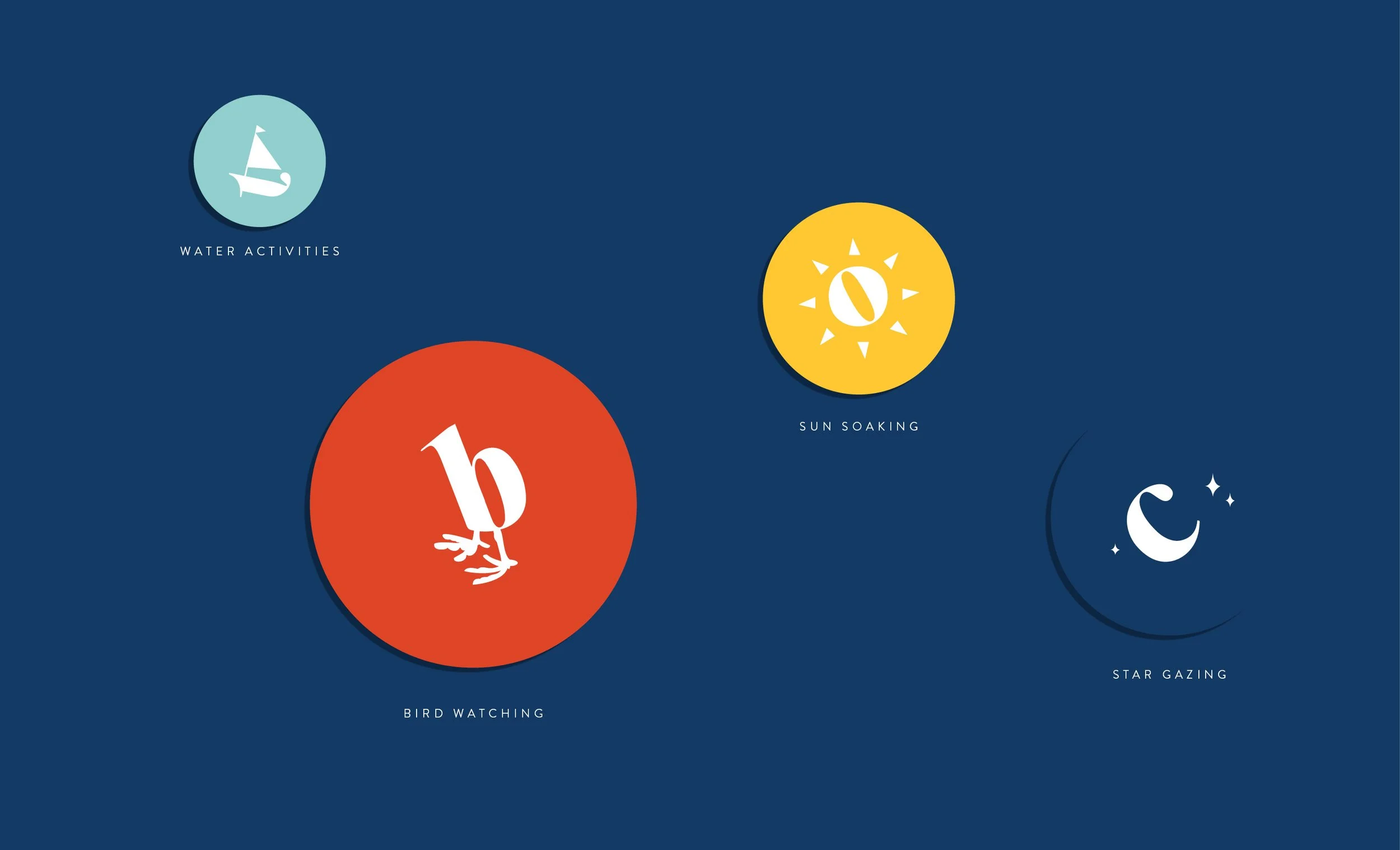 CootClub_Behance_v215.jpg