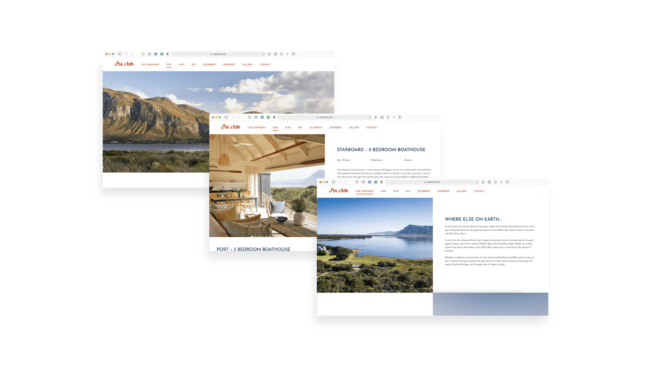 Behance+setup-26.png.webp