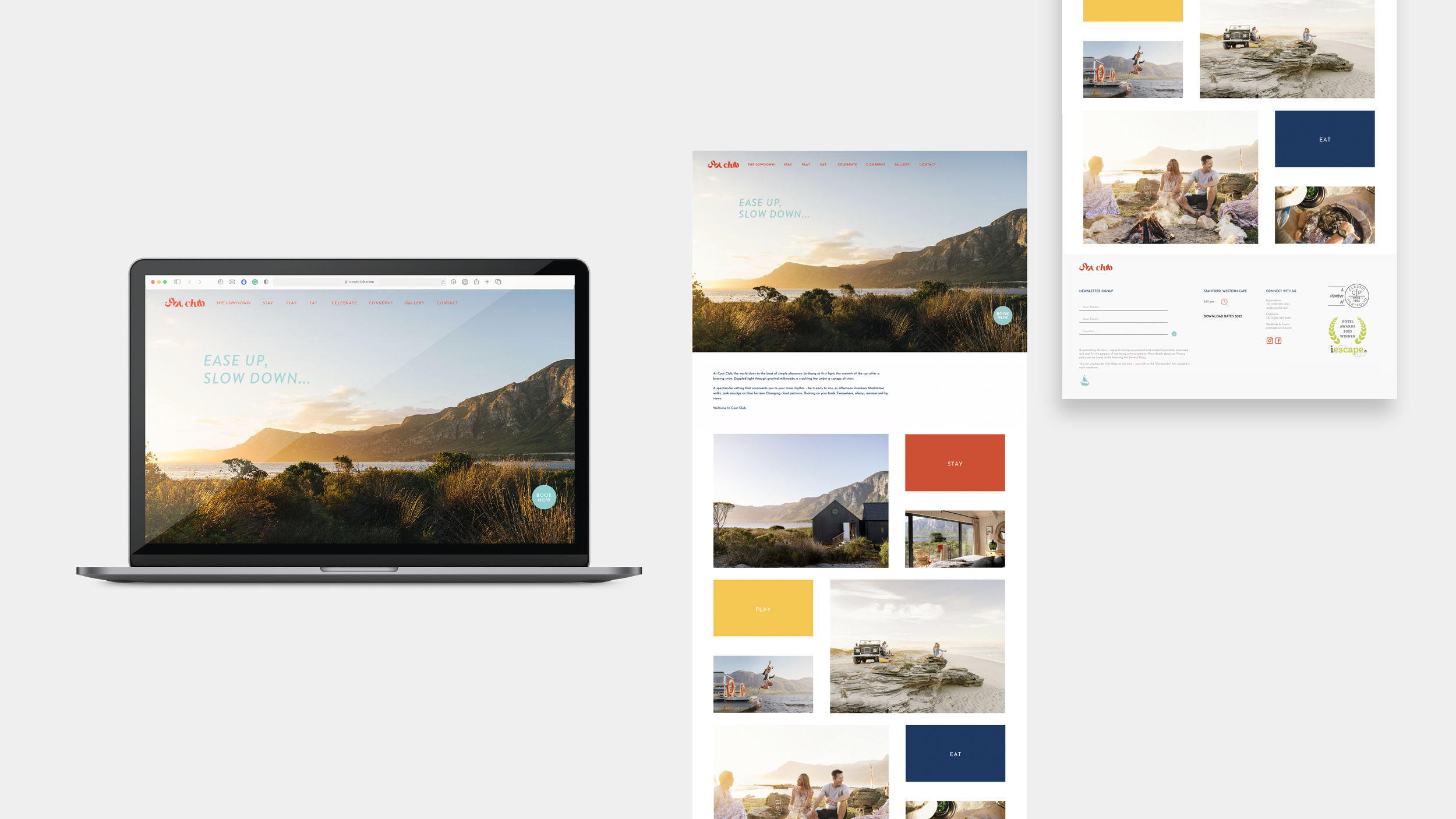 Behance+setup-24.png.webp