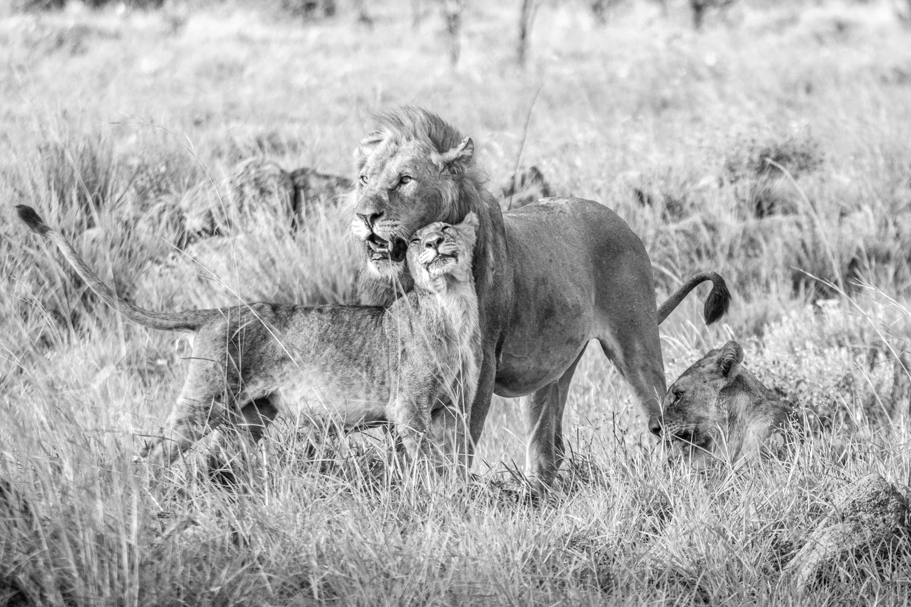 greg-reynolds-lifestyle-photographer (22 of 40).jpg