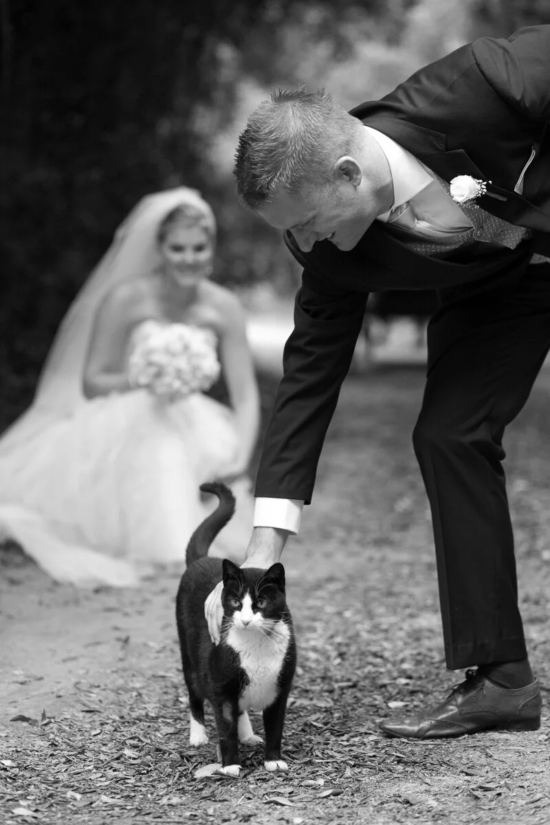 greg-reynolds-wedding- photographer-vancouver-074.jpg