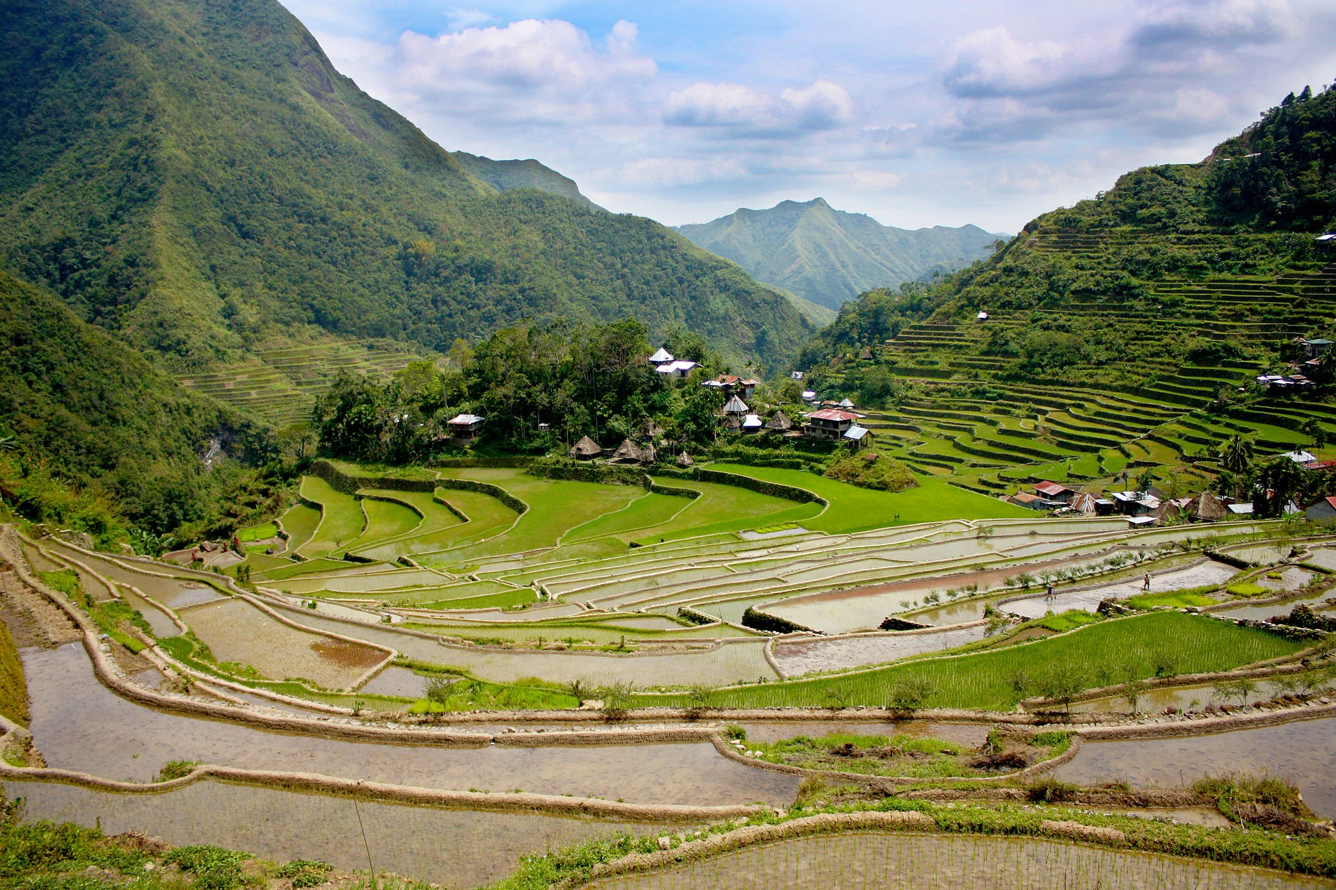 Batad_rice_terraces_in_Ifugao - domain.jpg