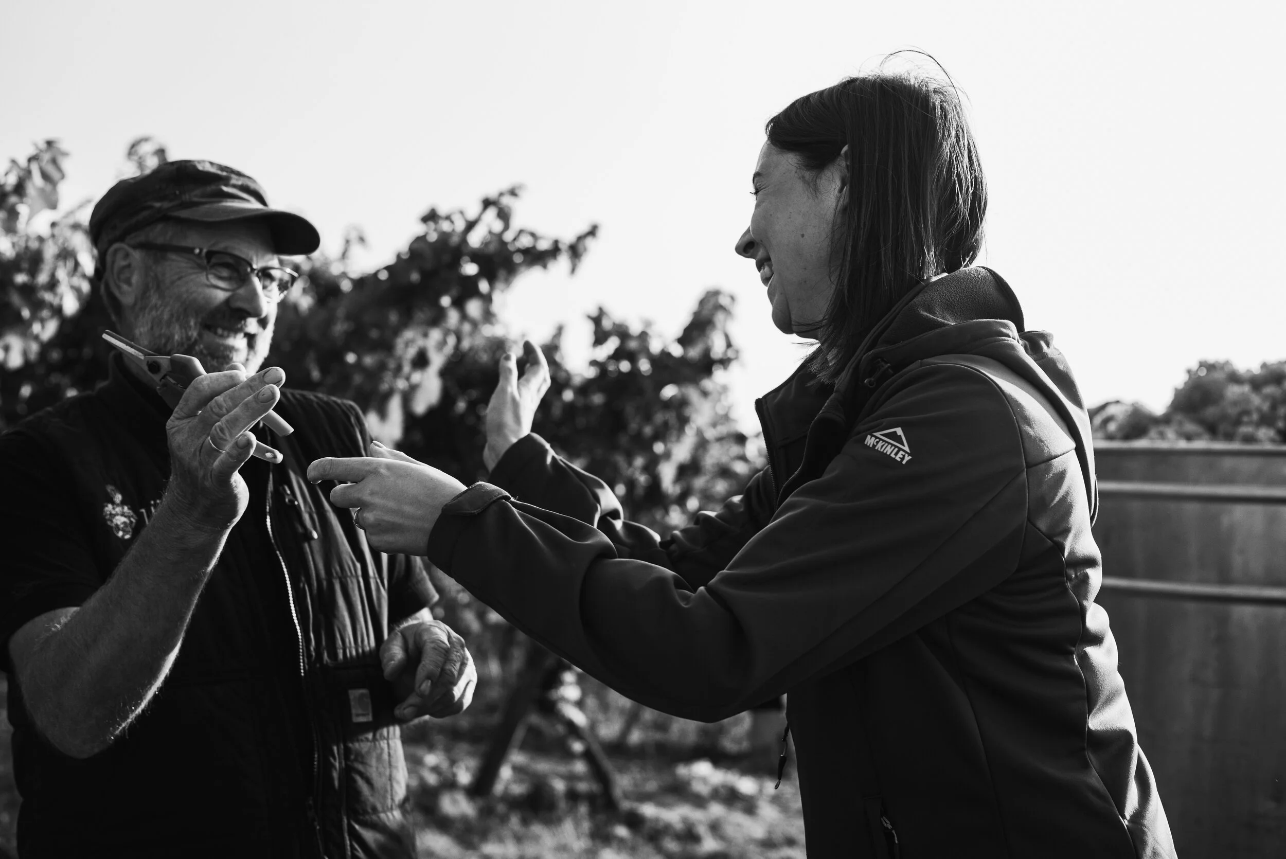 L1006043weingut_juelg_ernte_2020_1.jpg