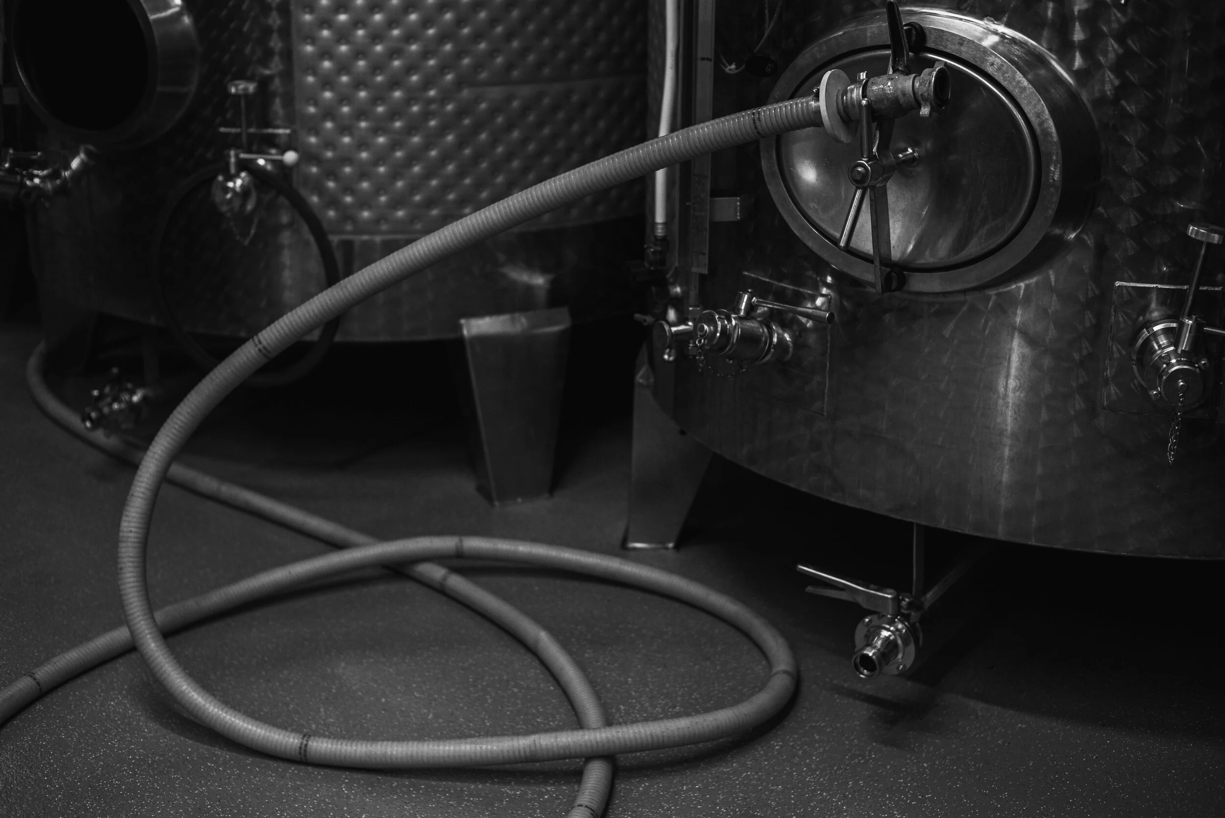 L1006508weingut_juelg_ernte_2020_1.jpg