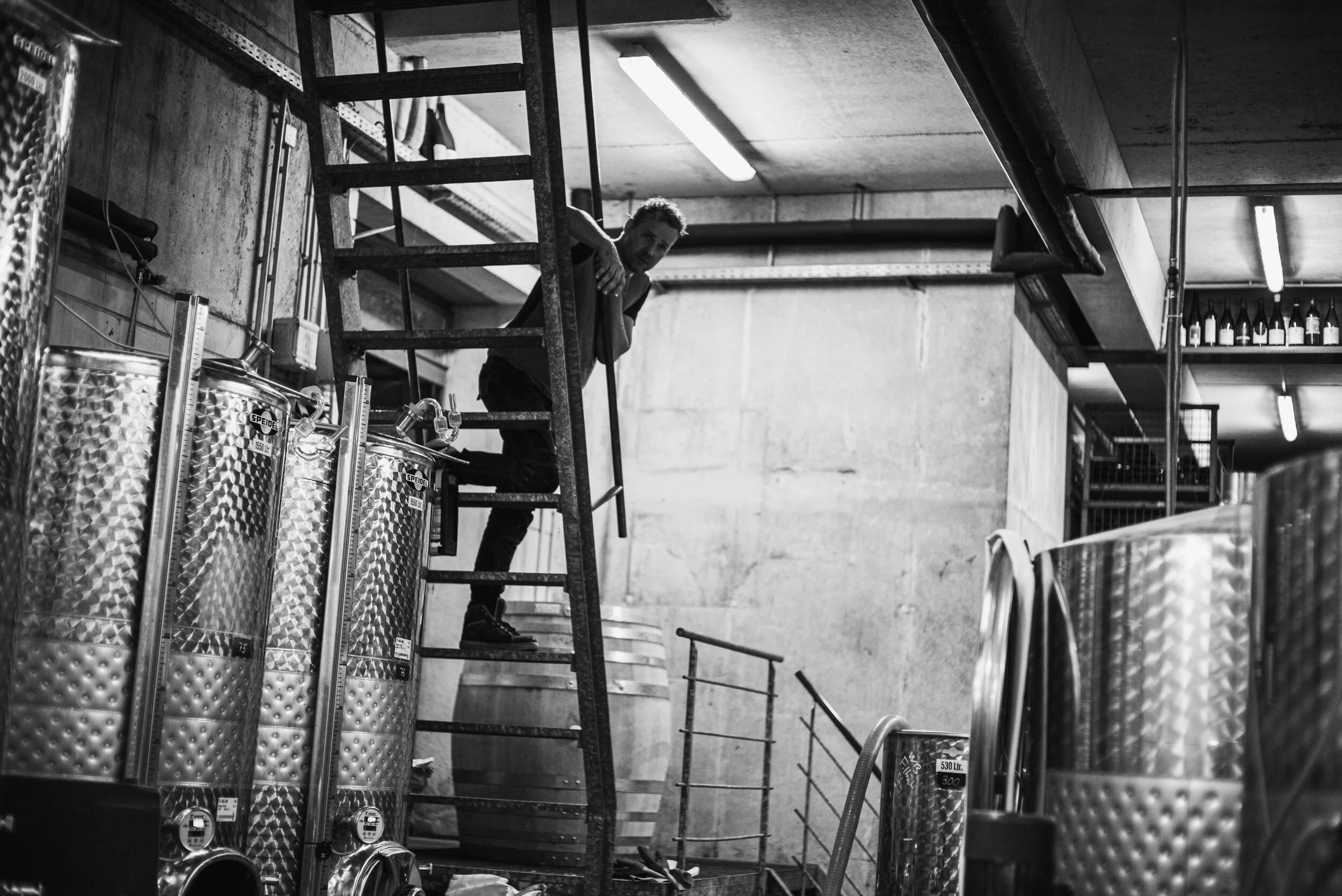 L1006545weingut_juelg_ernte_2020_1.jpg